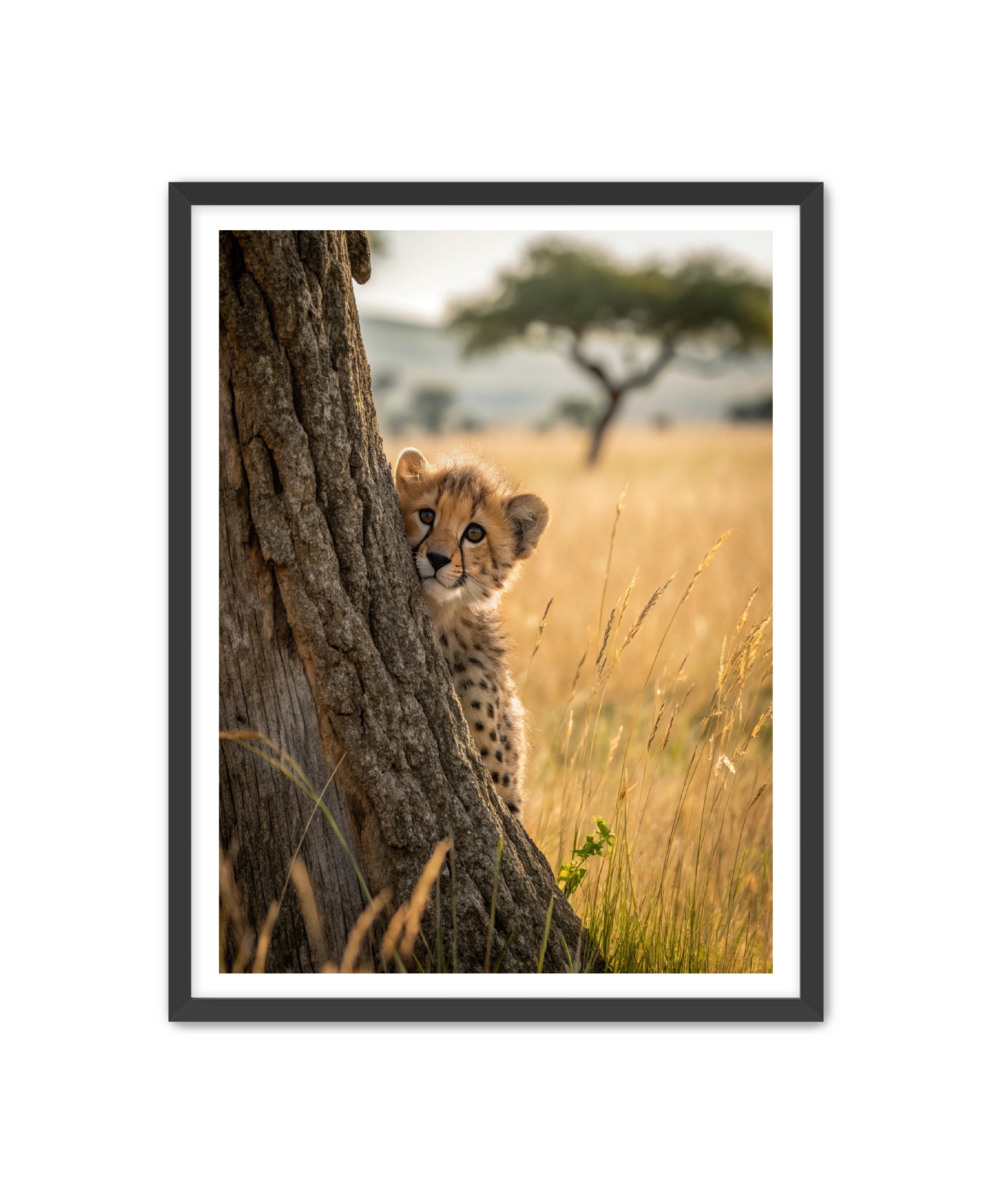 Apricus Prints 'Peekaboo' Apricus Art Collection