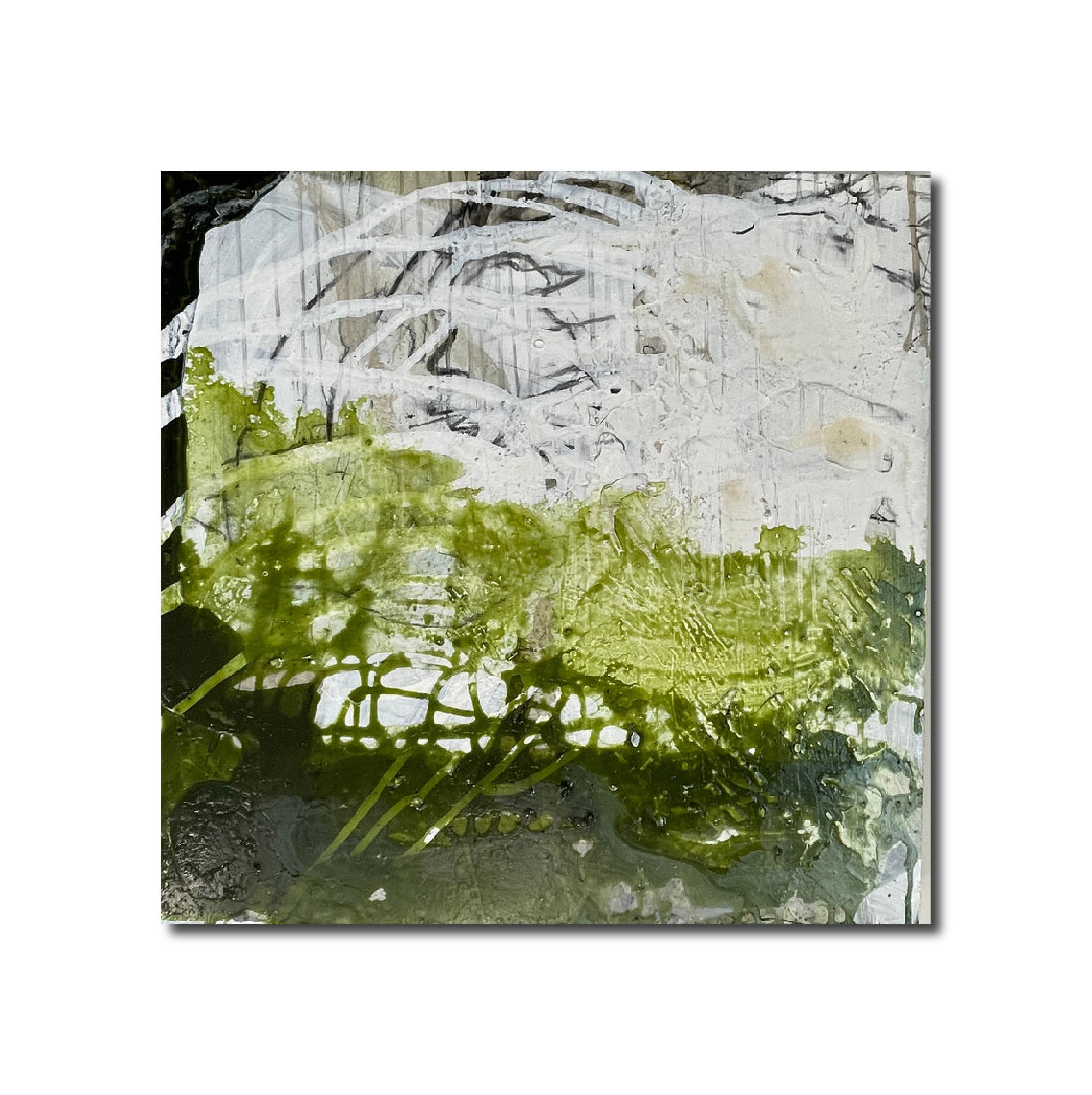 Acrylic Charcoal Polymer 'NEW GREEN' - Acrylic, Polymer, Charcoal on Wood Panel Elizabeth Castagna