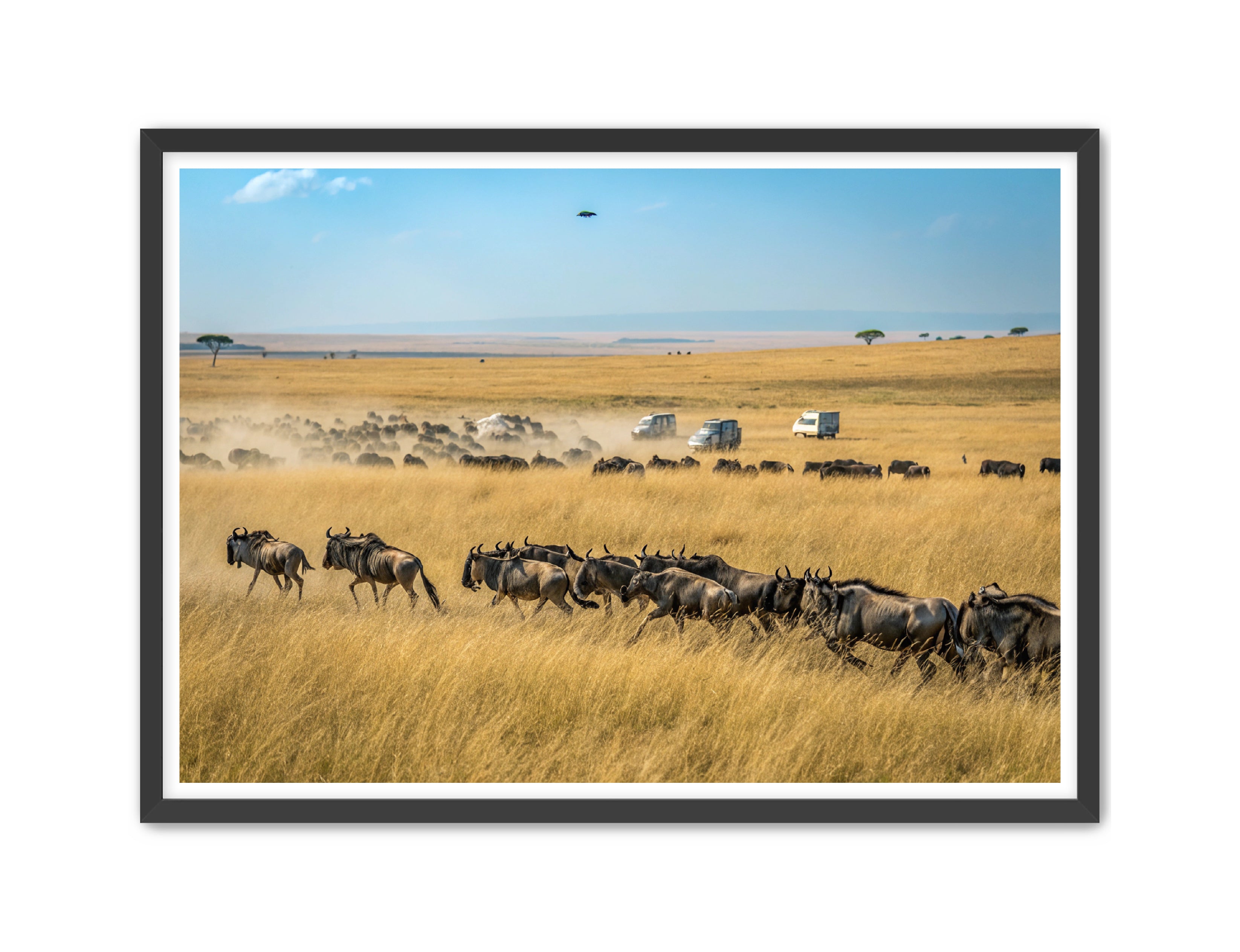 Apricus Prints 'Serengeti Stampede' Apricus Art Collection