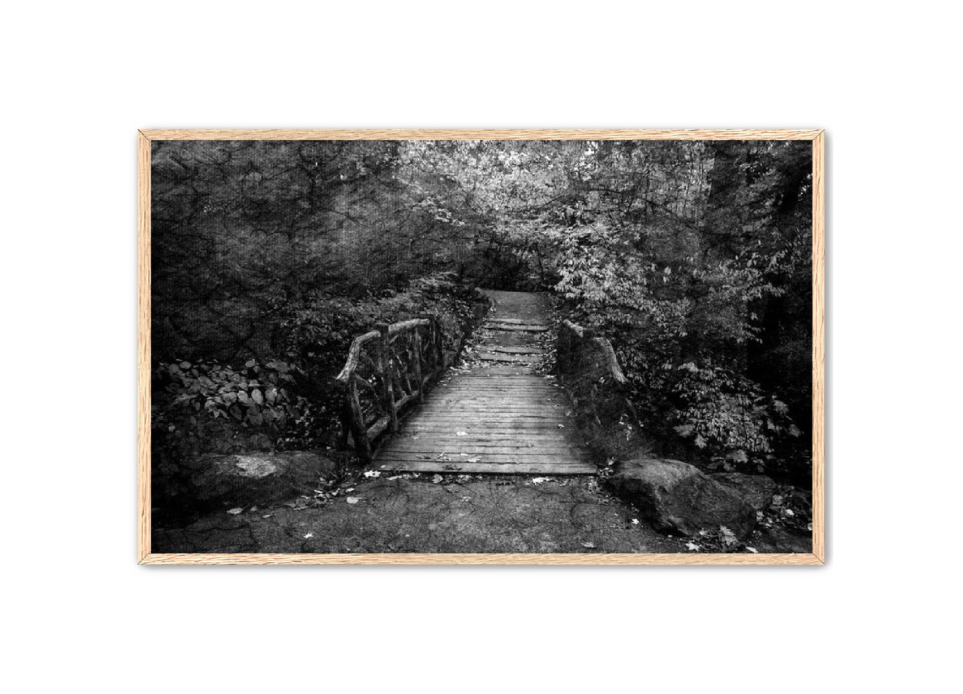 PhotoArt Prints 'PARK PATH' Danielle Neumann Kelly