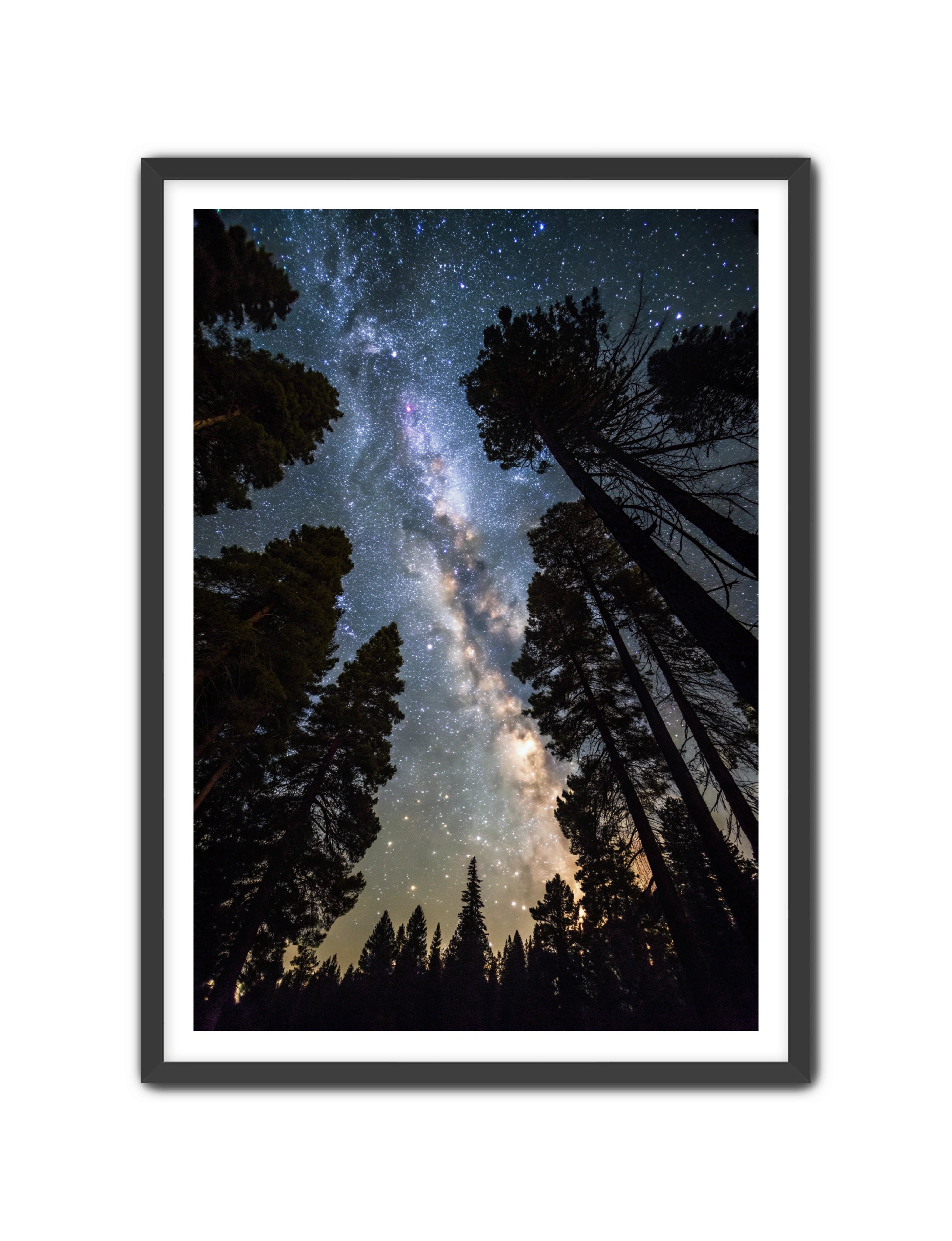 Apricus Prints 'Canopy of Eternity' Apricus Art Collection