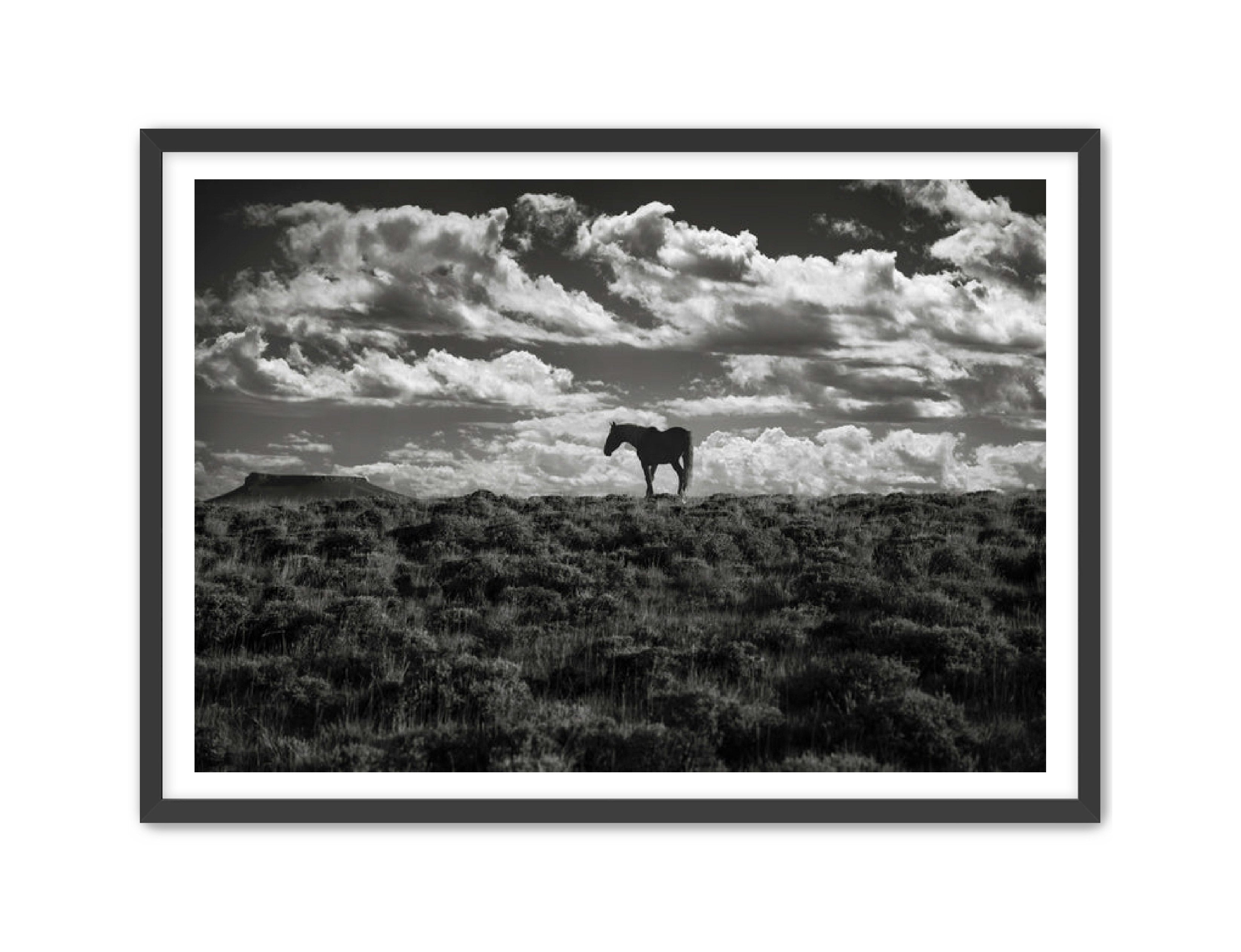 Photography Prints 'Open Range' Reed Decker