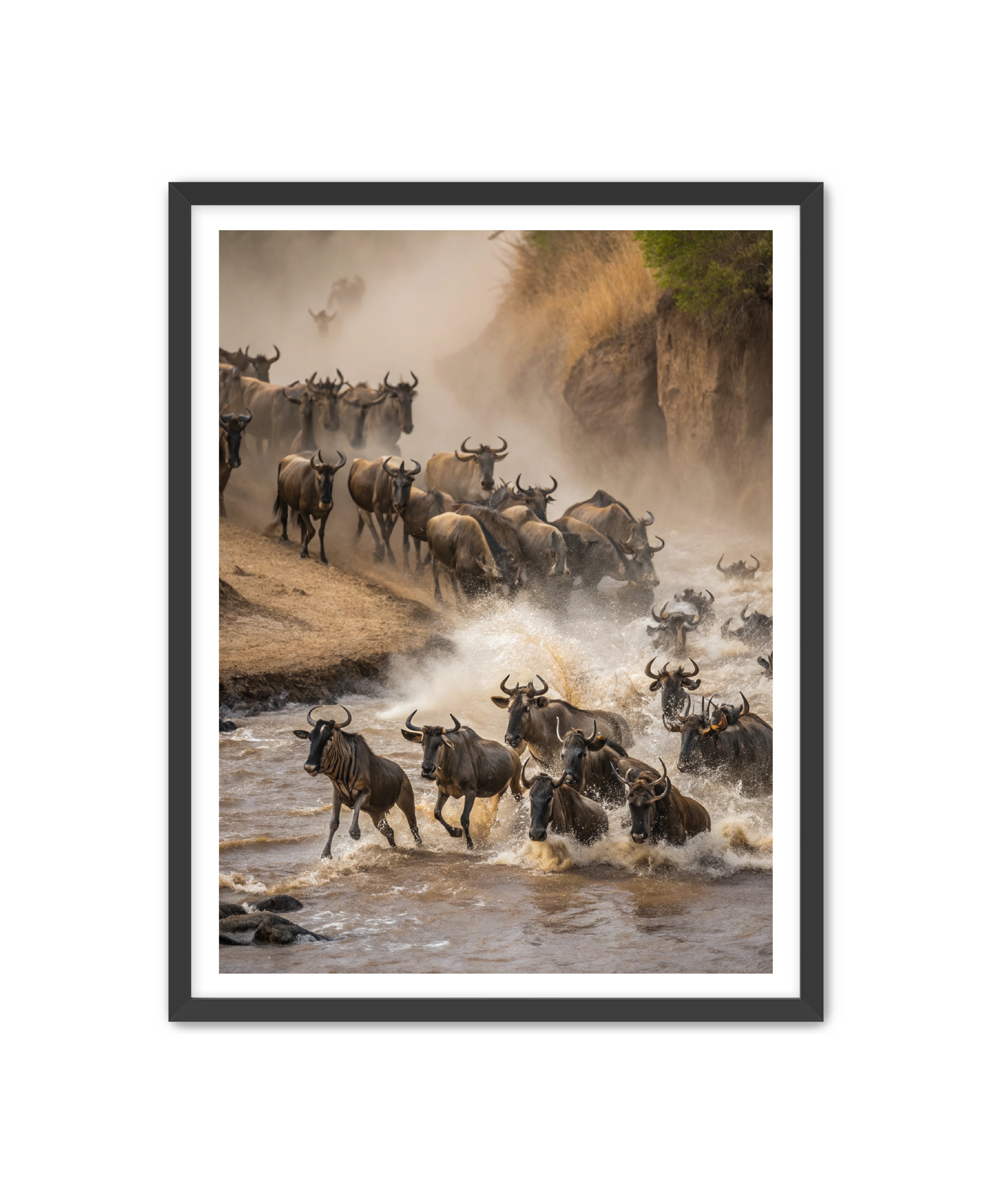 Apricus Prints 'Stampede Crossing' Apricus Art Collection