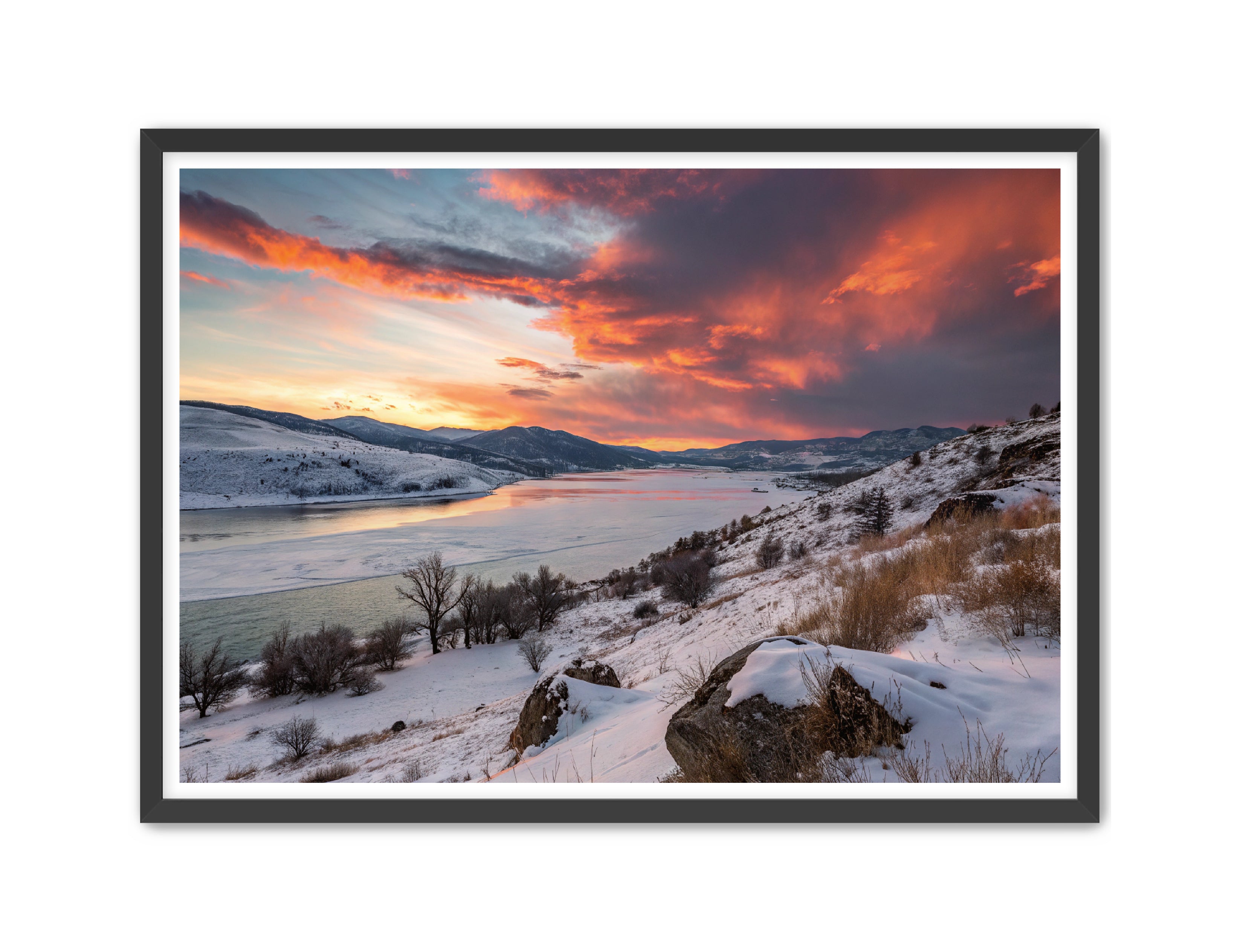 Apricus Prints 'Winter Reds' Apricus Art Collection