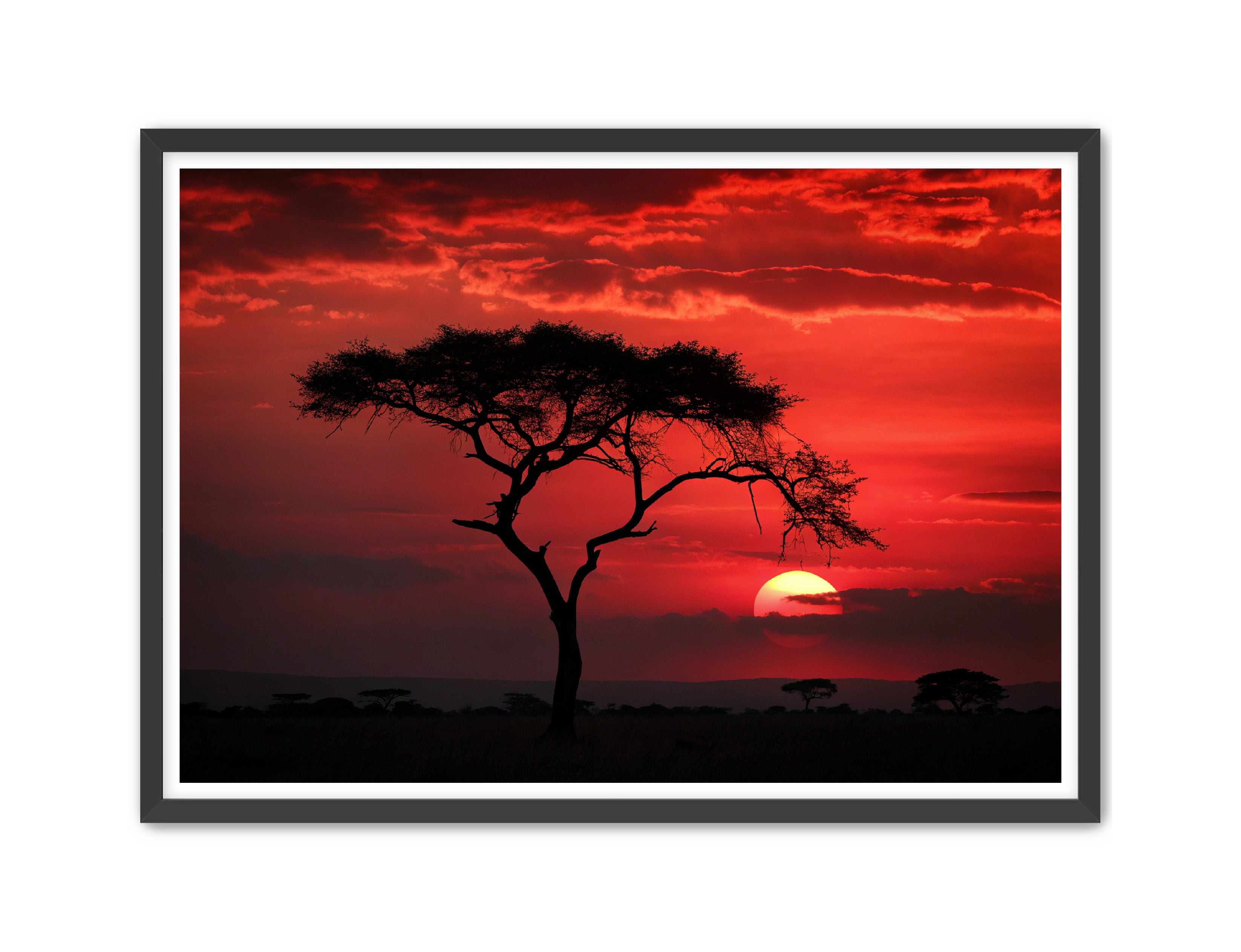 Apricus Prints 'Red Night' Apricus Art Collection