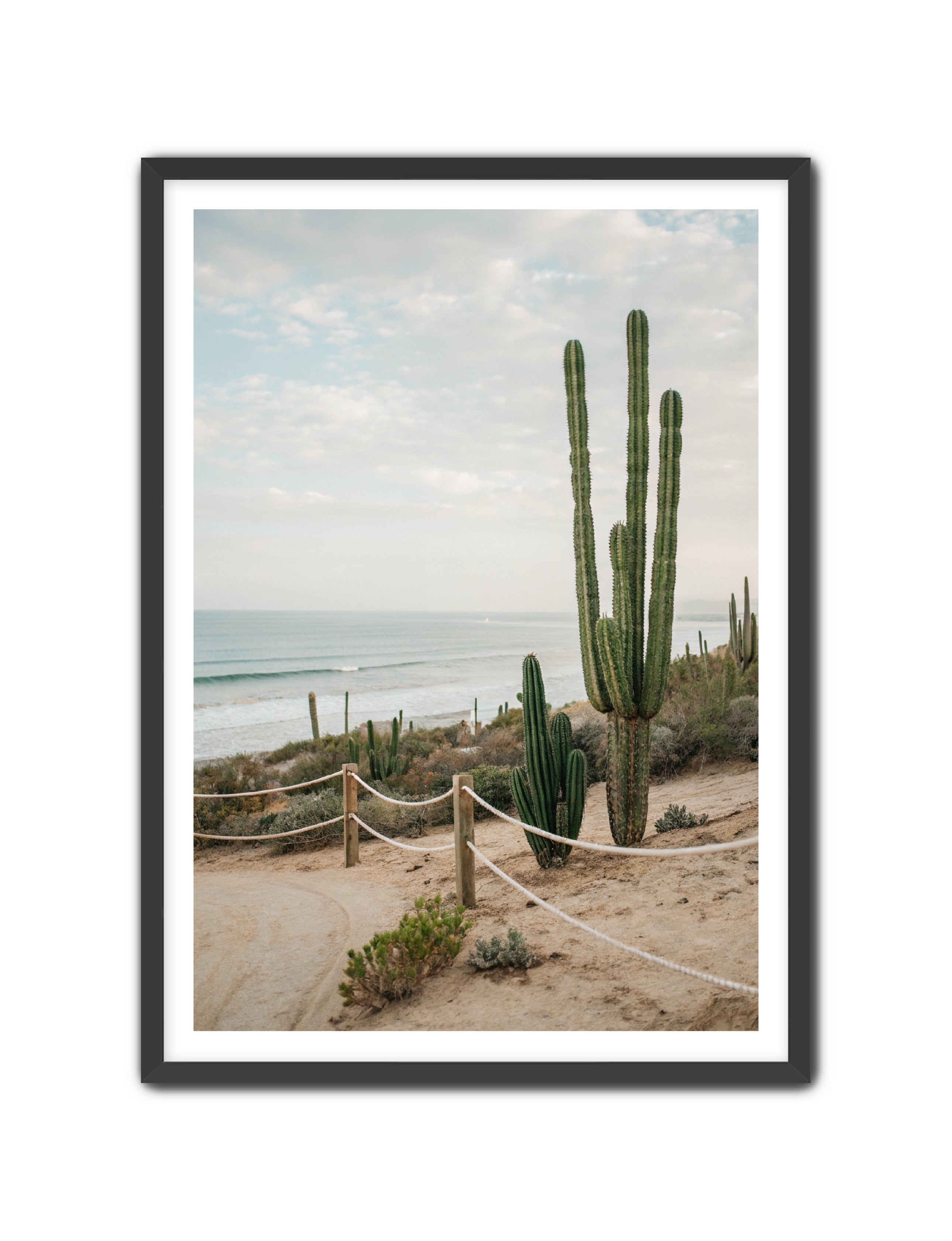 Apricus Prints Beaches 'SoCal' Apricus Art Collection