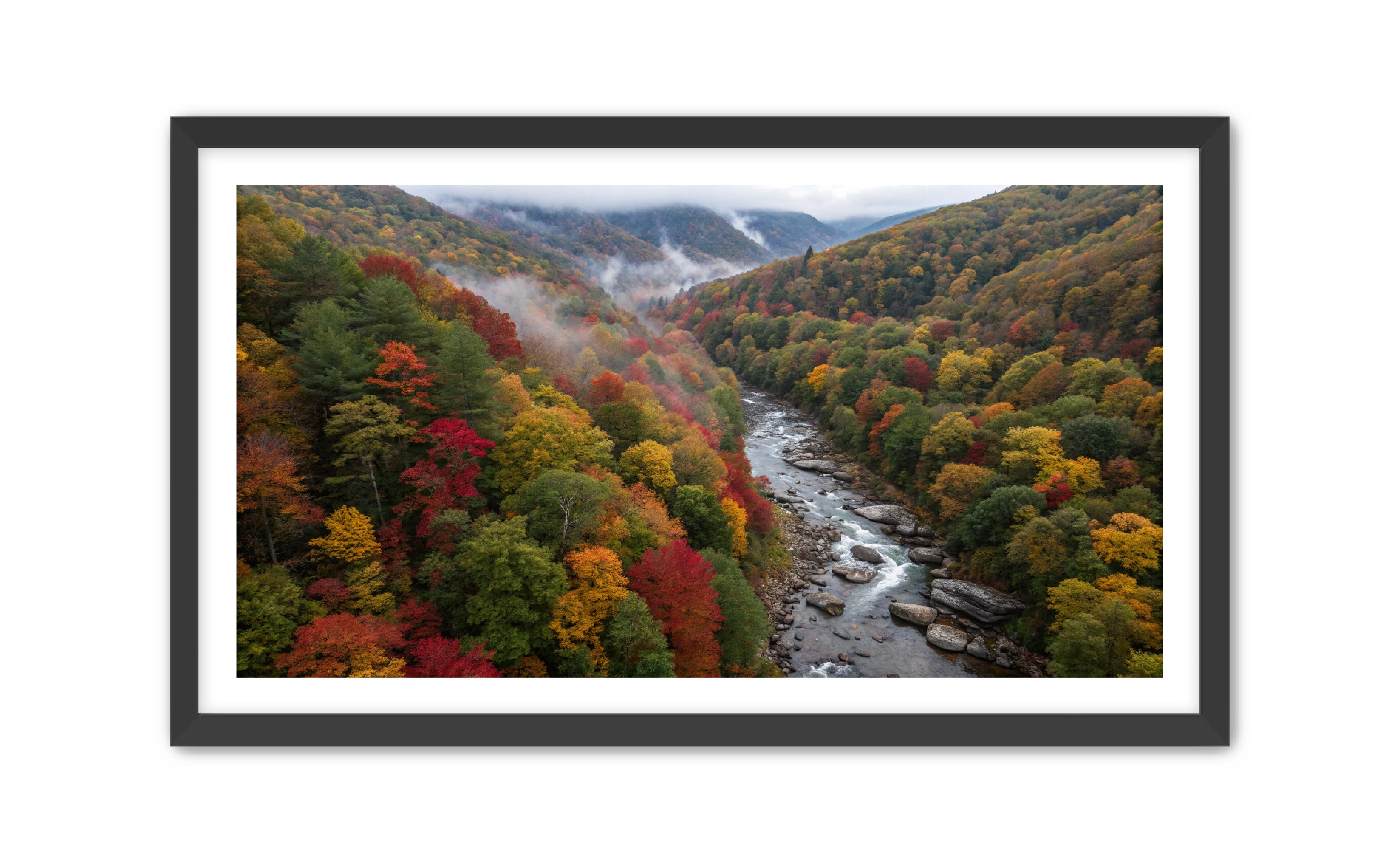 Apricus Prints 'Stick River' Apricus Art Collection