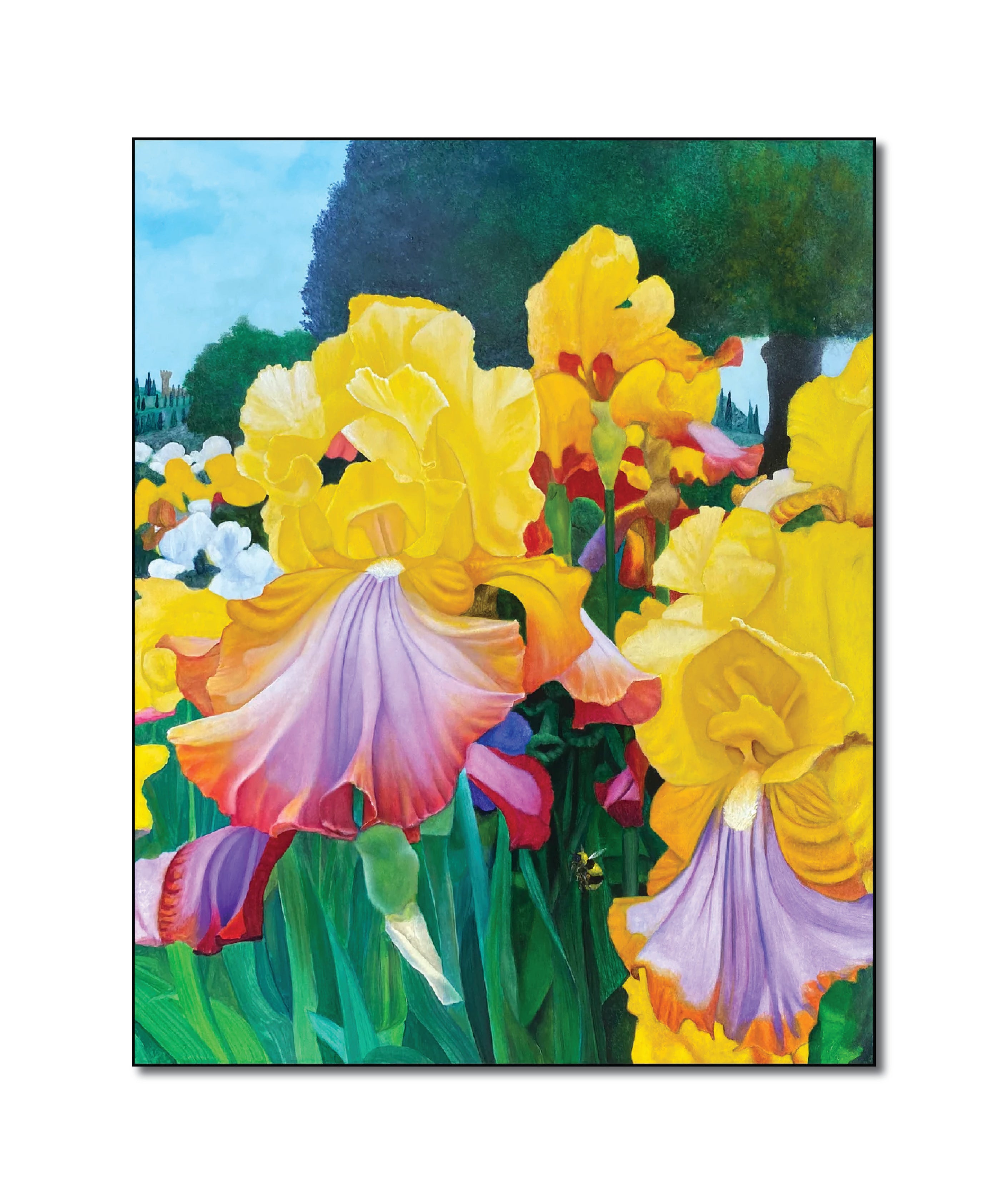 Oil 'IRIS GARDEN' - Oil on Canvas Apricus Art Collection