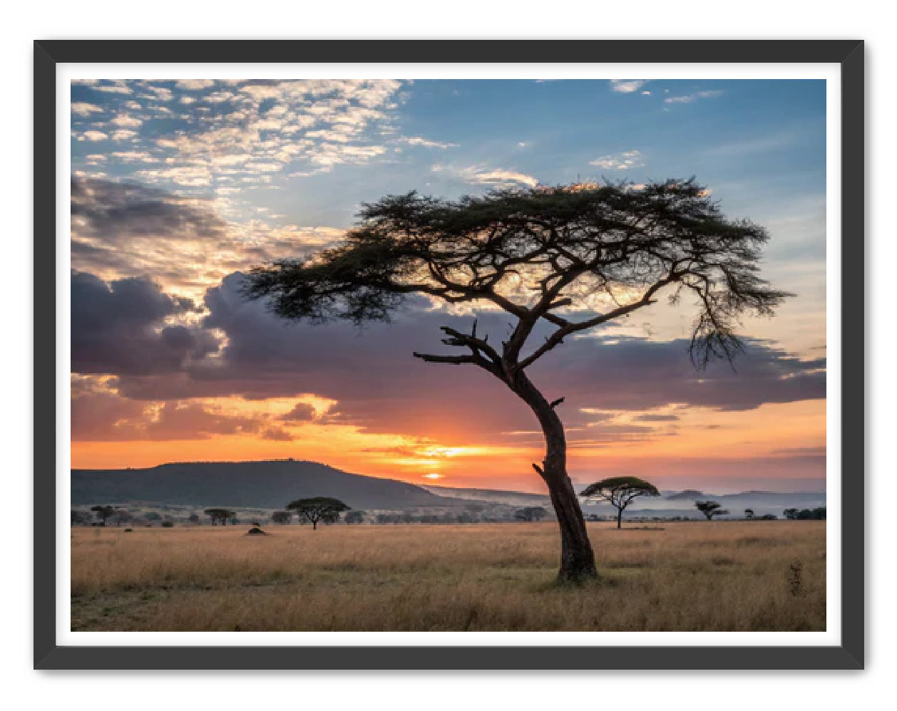 'Sunset on the Grounds'