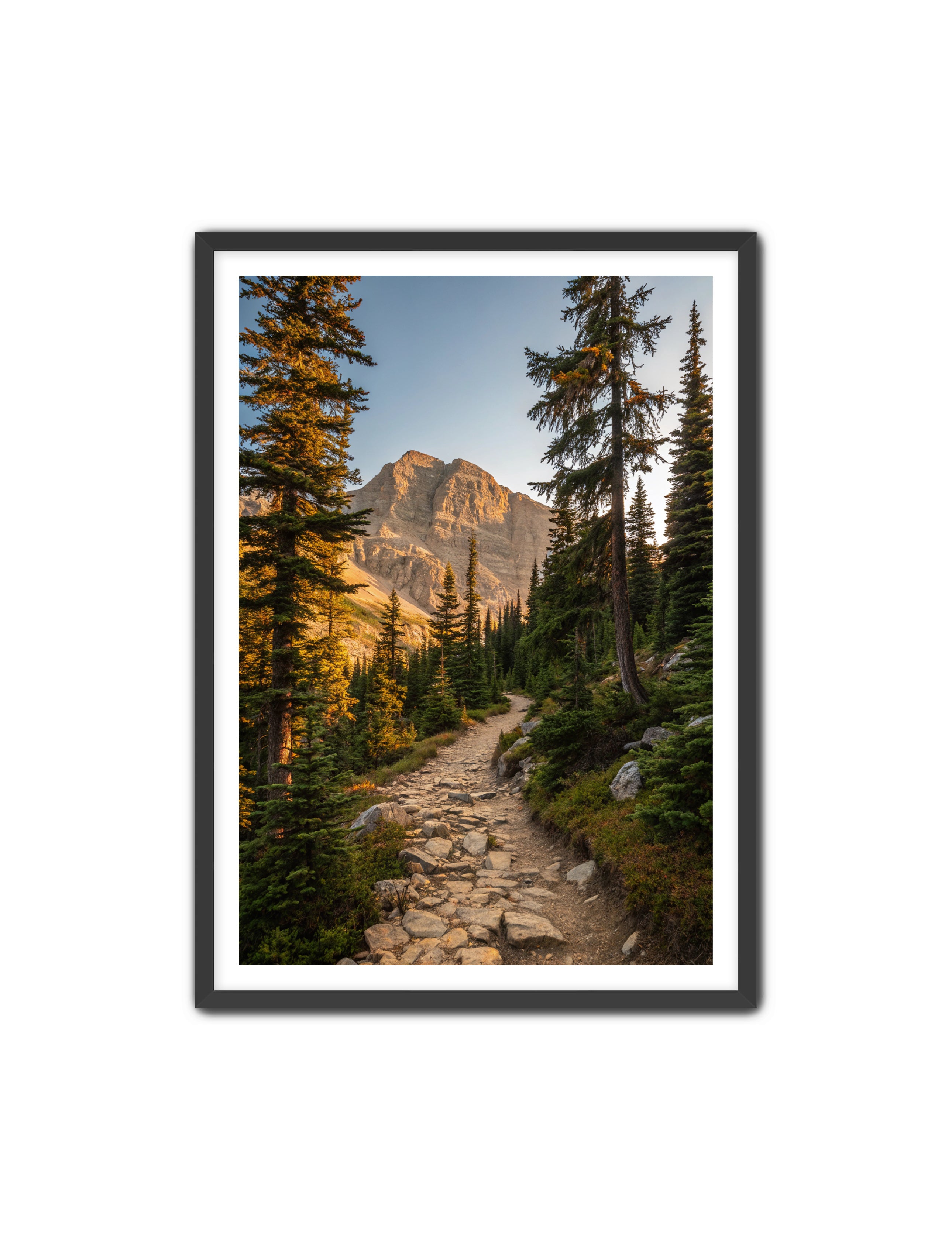 Apricus Prints 'Rocky Mountain Way' Apricus Art Collection