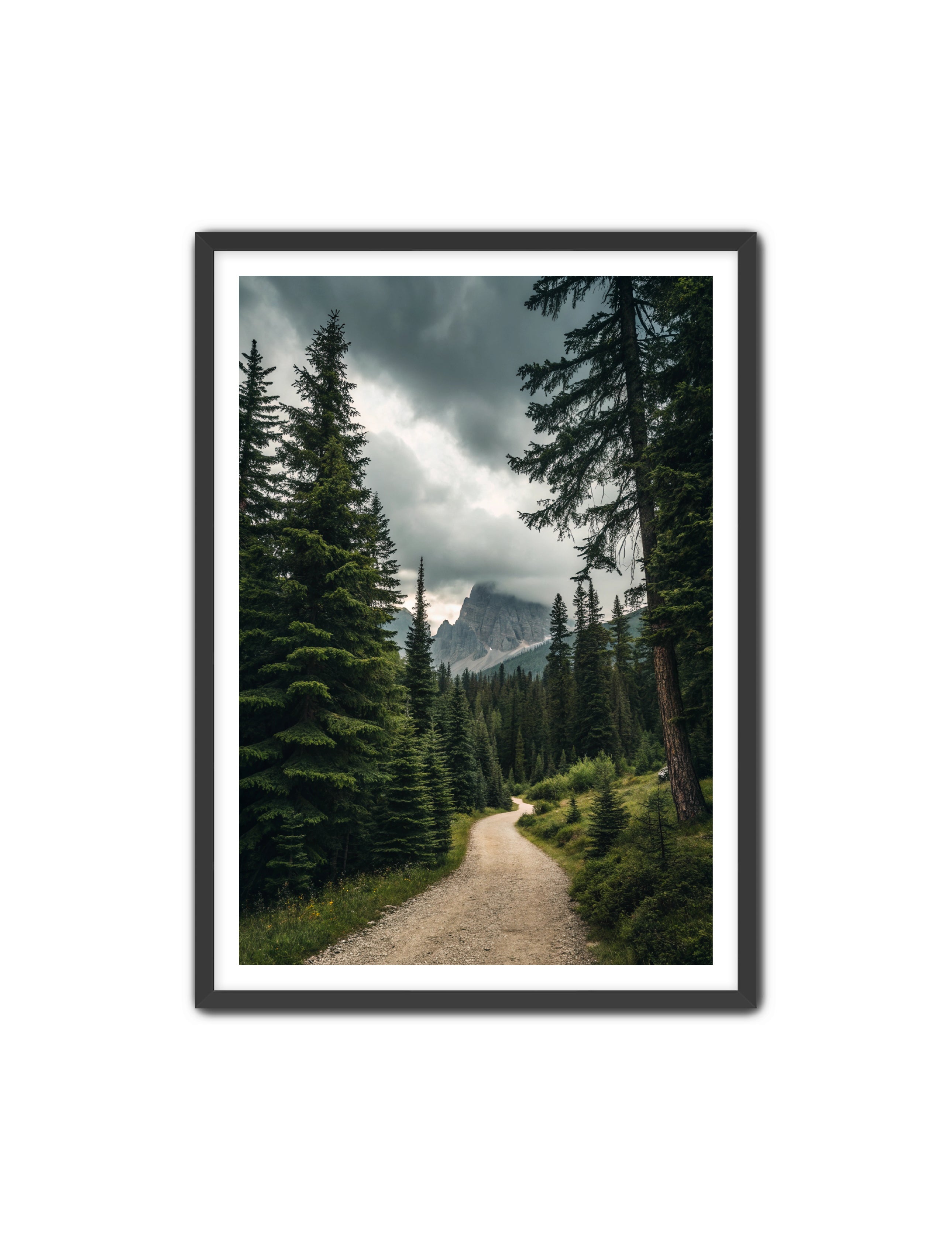 Apricus Prints 'Path to the Peaks' Apricus Art Collection