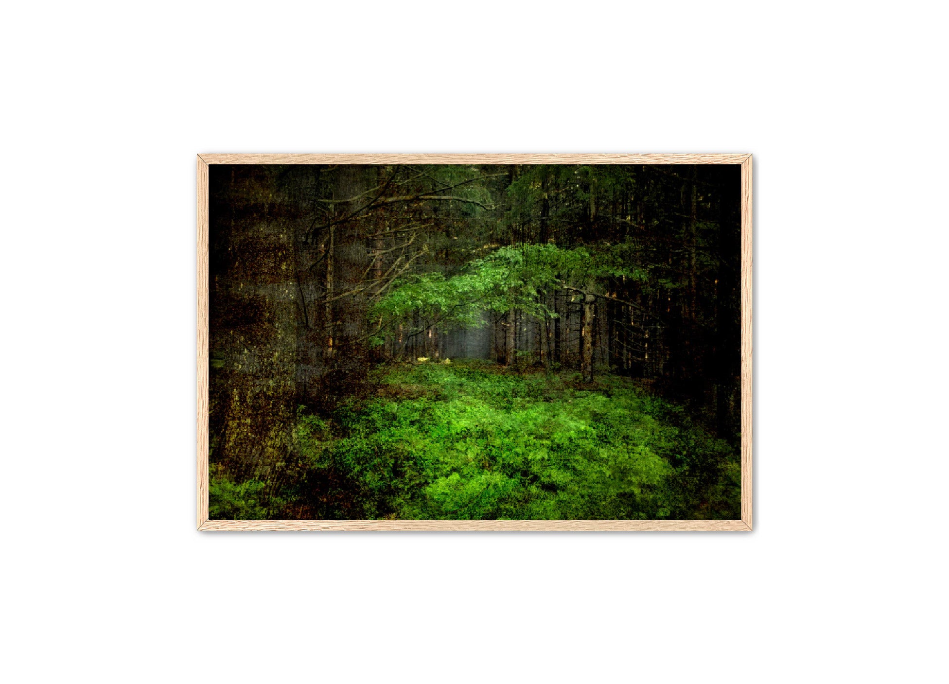 PhotoArt Prints 'TEXTURED TREES 3' Danielle Neumann Kelly