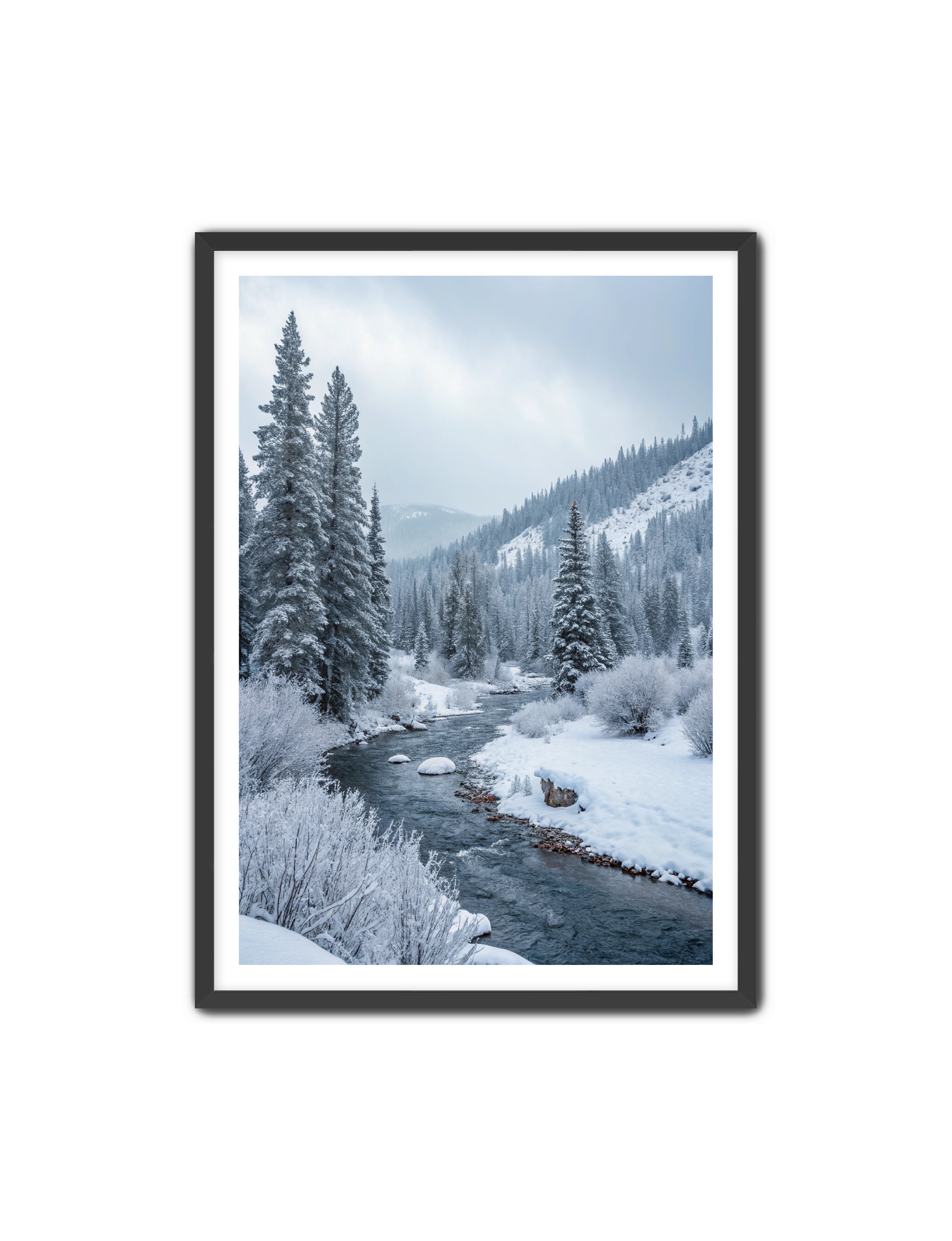 Apricus Prints 'Frozen Flow' Apricus Art Collection