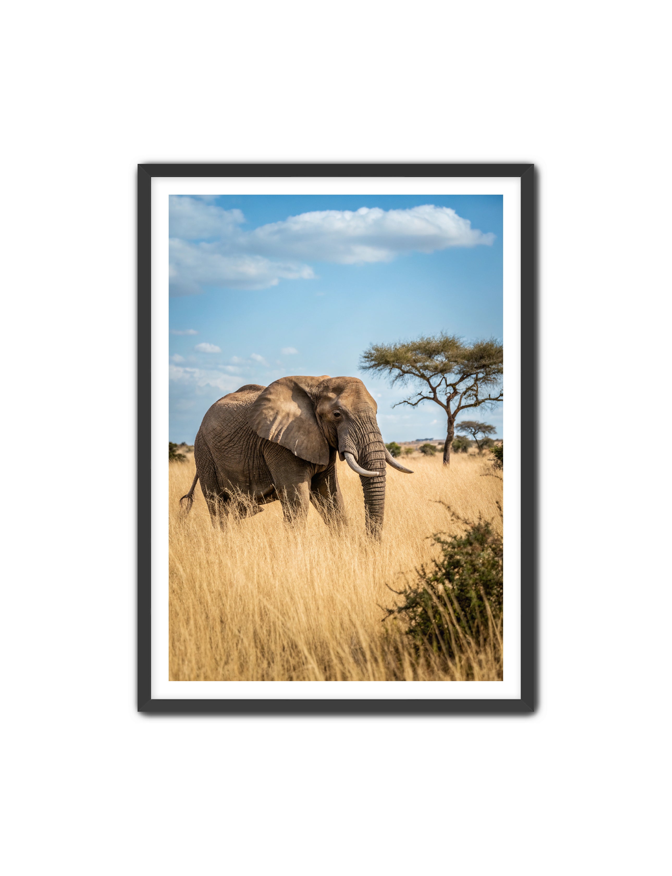 Apricus Prints 'Ellie, The Gentle Giant' Apricus Art Collection