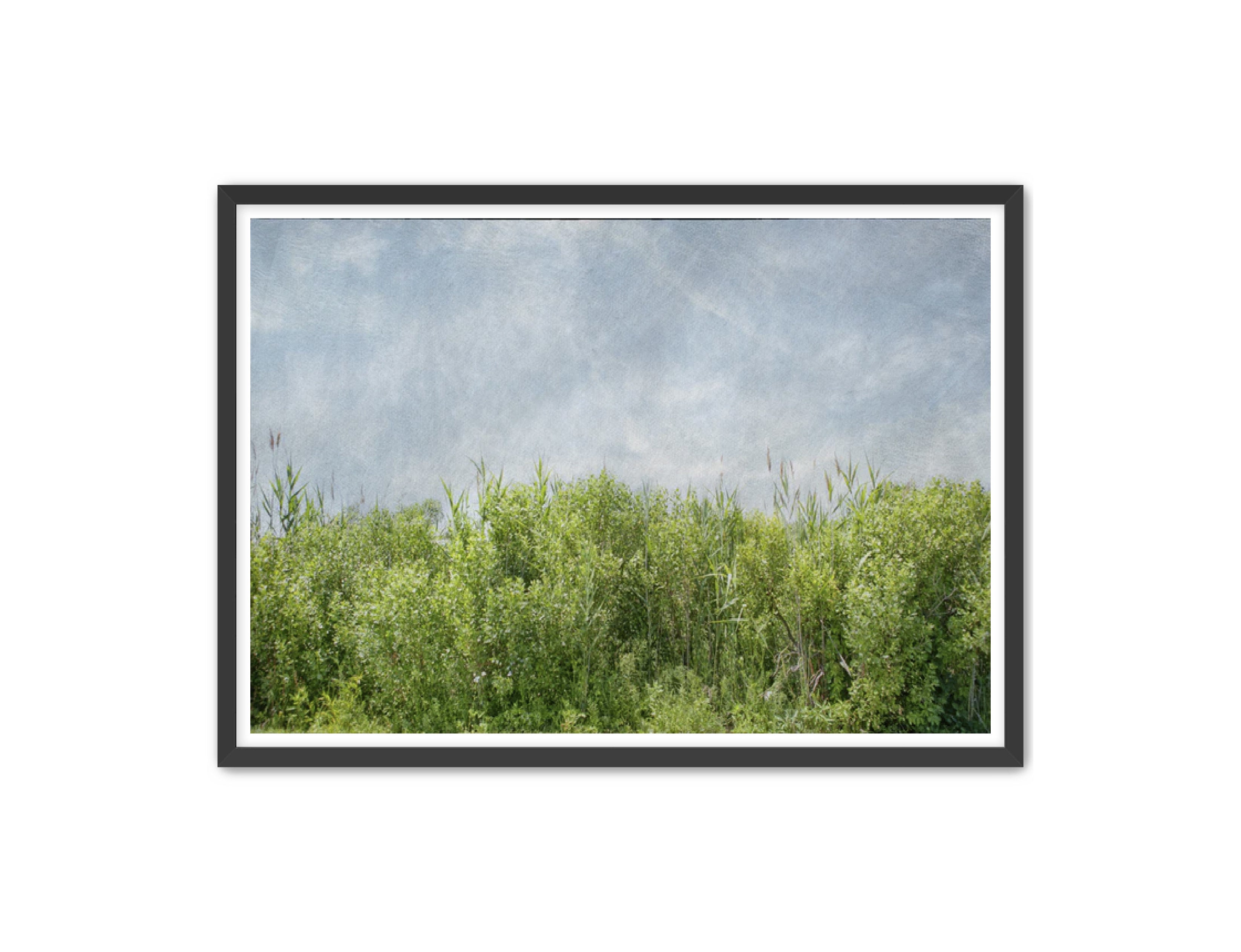 PhotoArt Prints 'BEACH BRIAR' Danielle Neumann Kelly