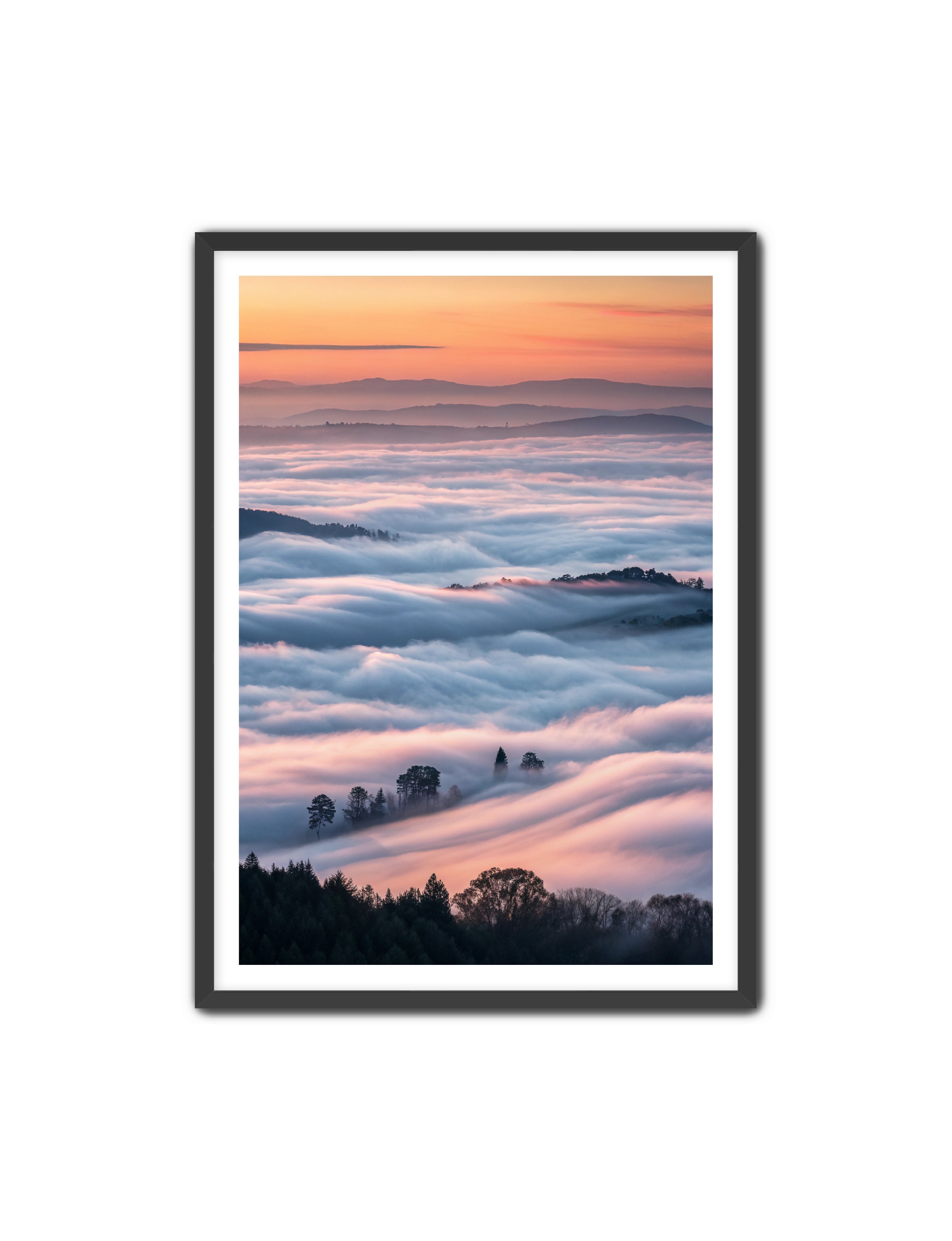 Apricus Prints 'Clouded Canopy' Apricus Art Collection