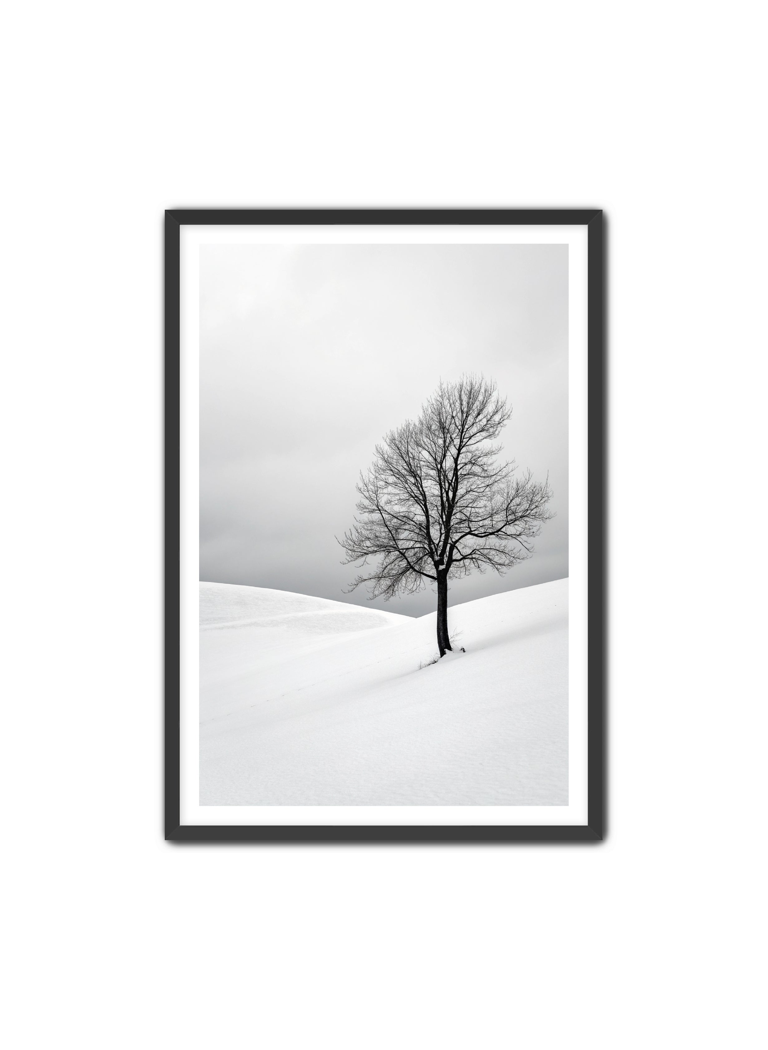 Apricus Prints 'Winter Whisper' Apricus Art Collection