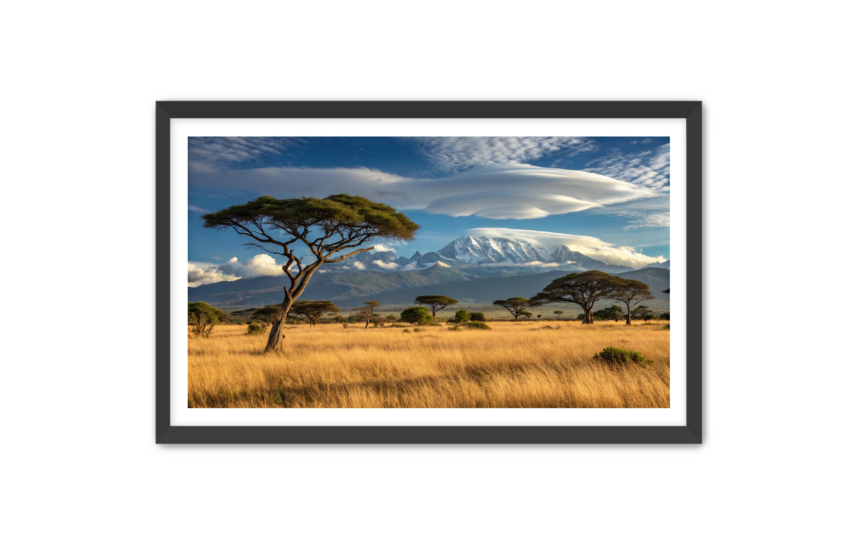 Apricus Prints 'Safari Layers' Apricus Art Collection