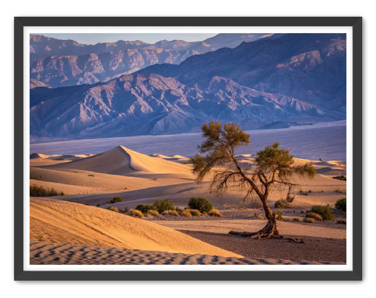 'Alone in the Desert'