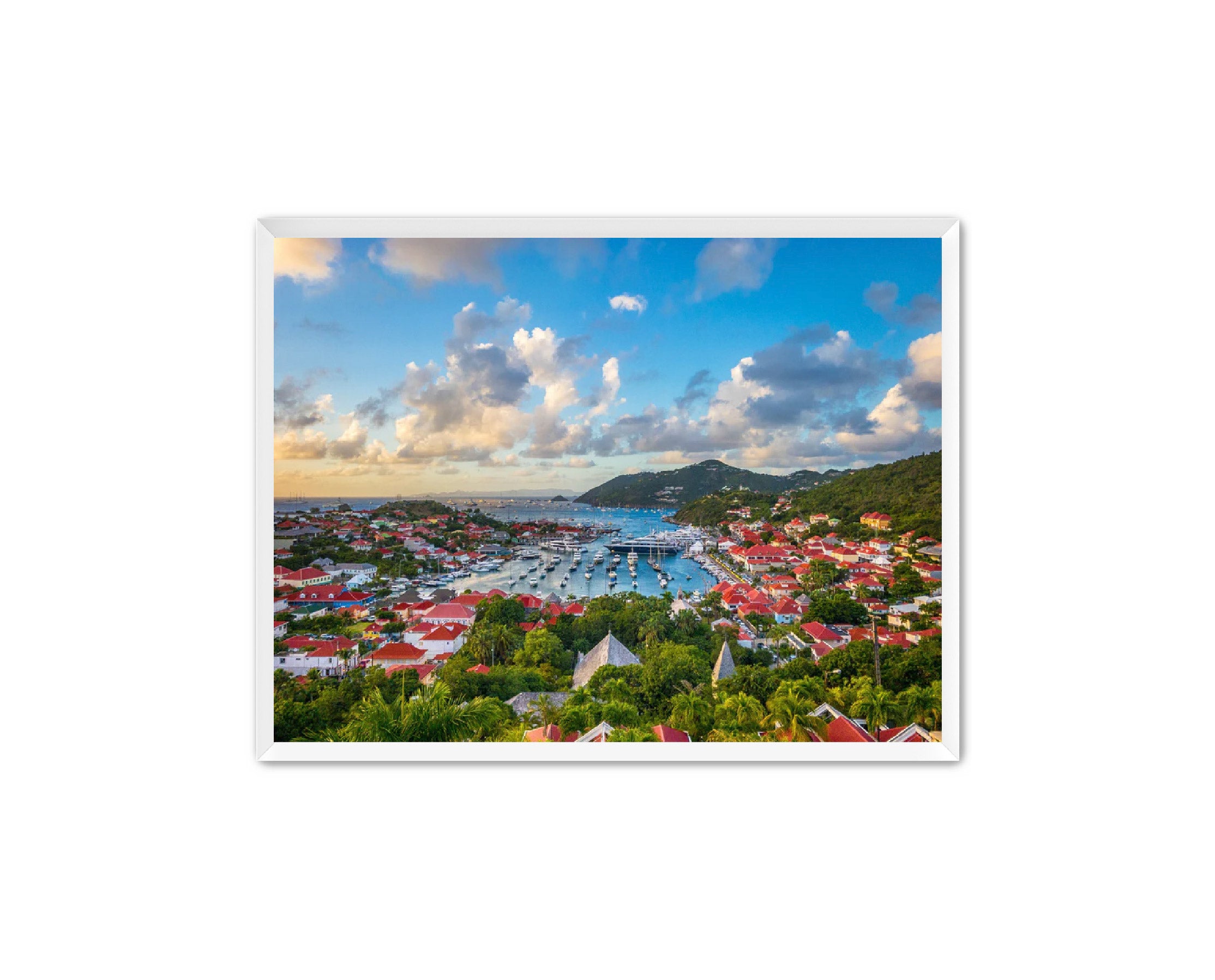 Apricus Prints 'GUSTAVIA' Apricus Art Collection