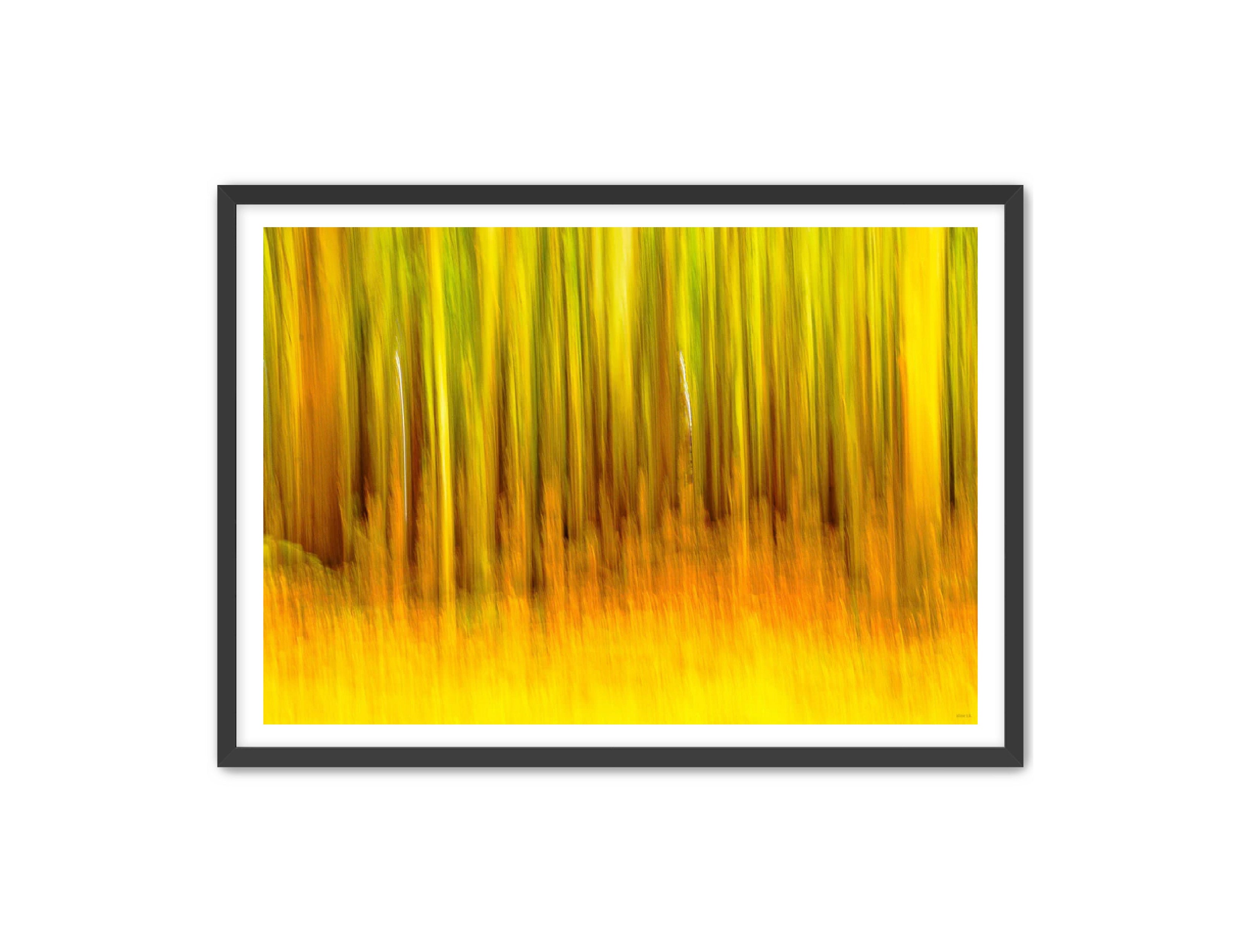 Abstract Photography Prints 'The forest' Aline Karagozlu