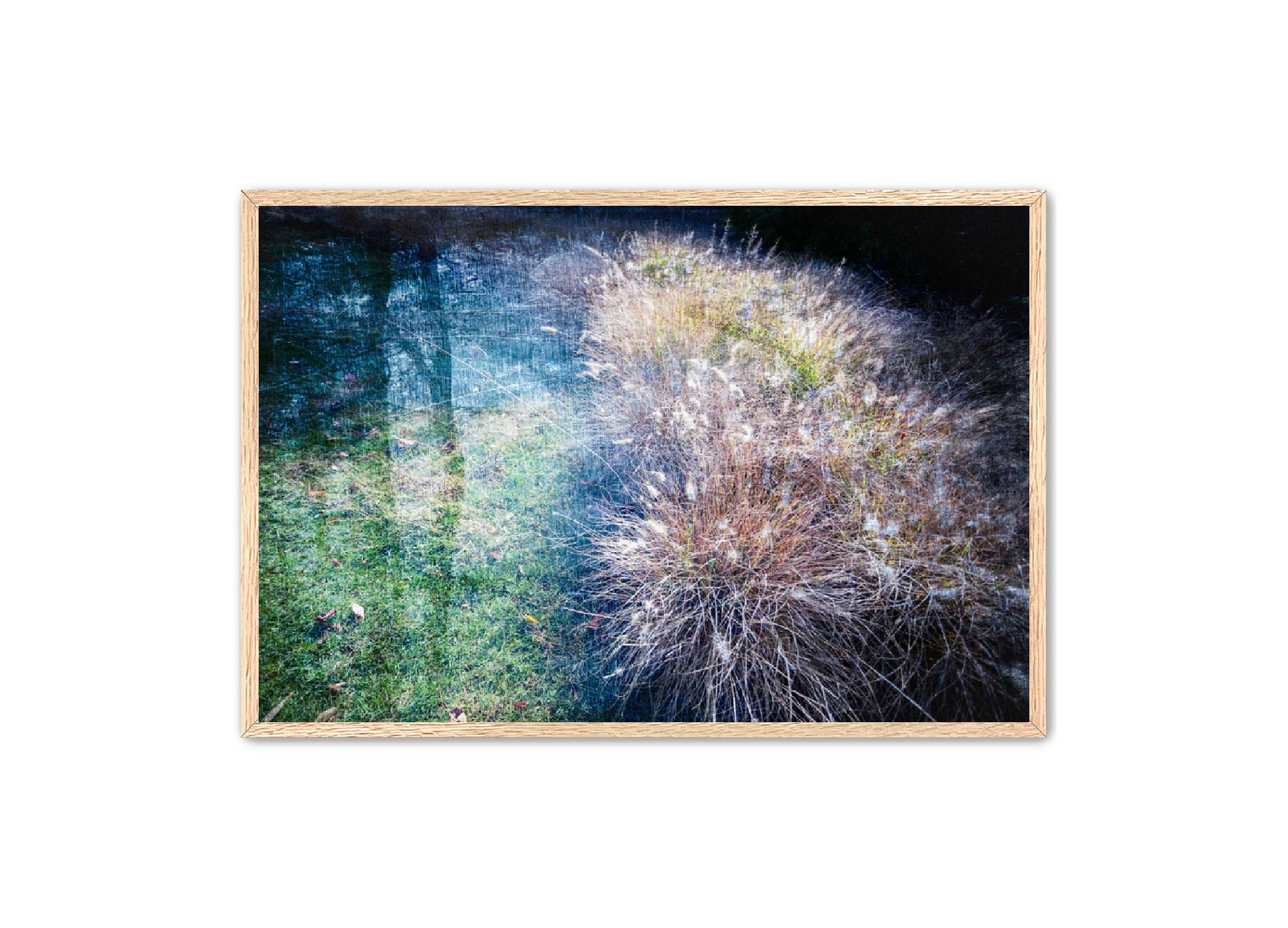 PhotoArt Prints 'GRASSES' Danielle Neumann Kelly