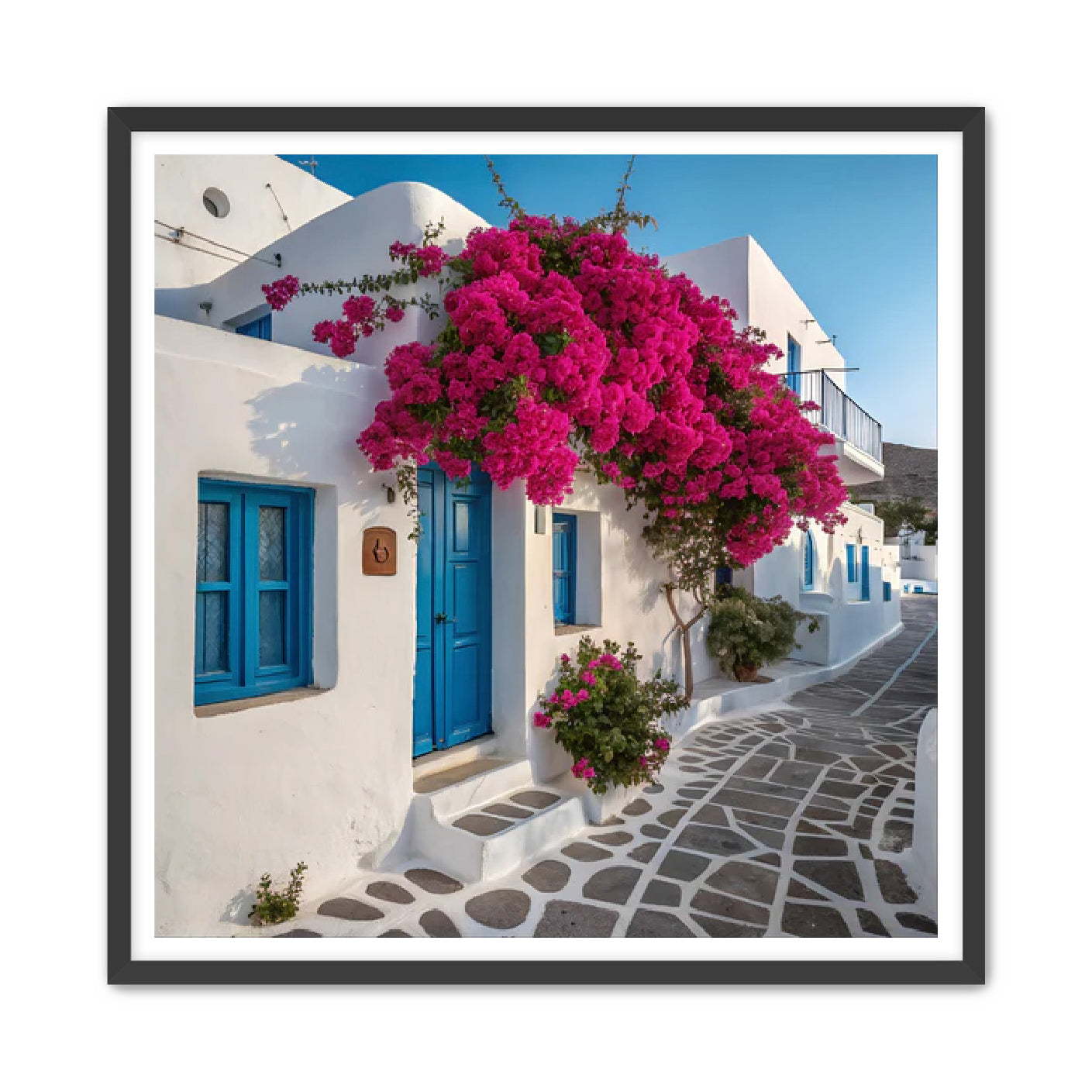 'BOUGAINVILLEA BLISS'