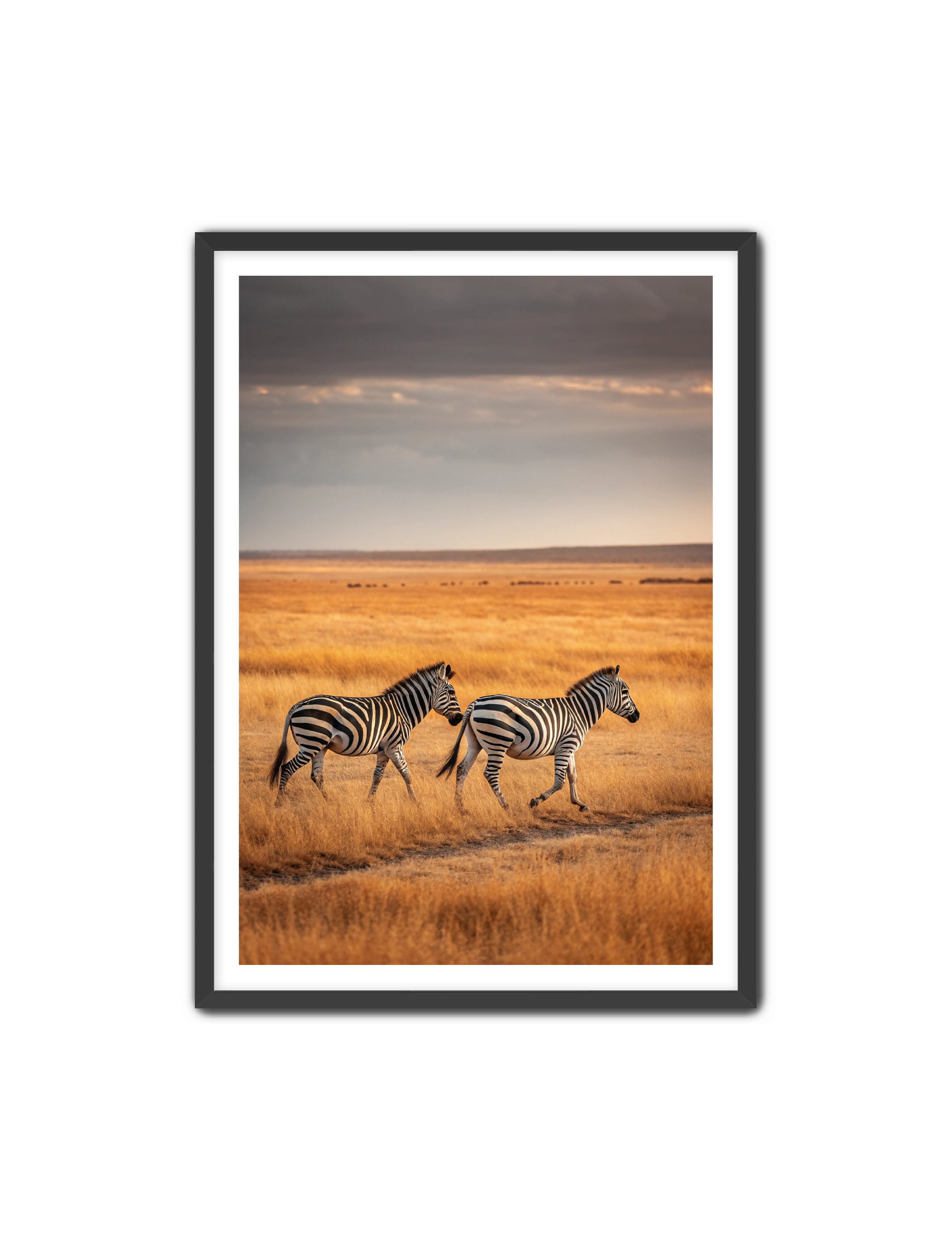 Apricus Prints 'Dynamic Duo' Apricus Art Collection