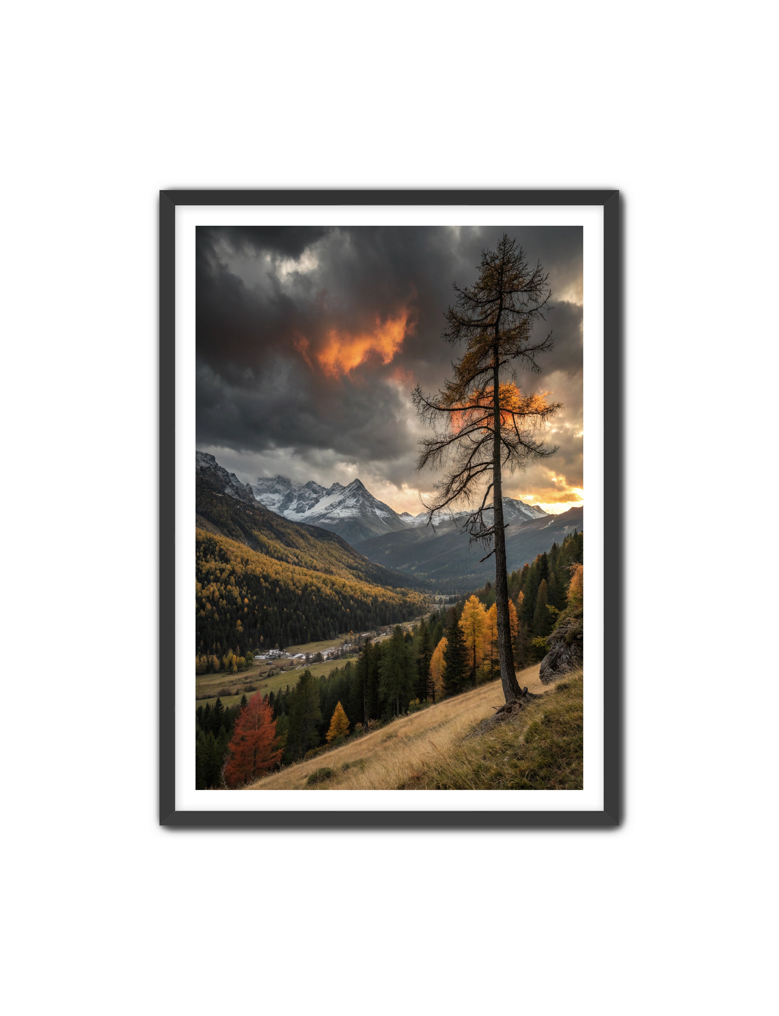 Apricus Prints 'San Juan Fall' Apricus Art Collection