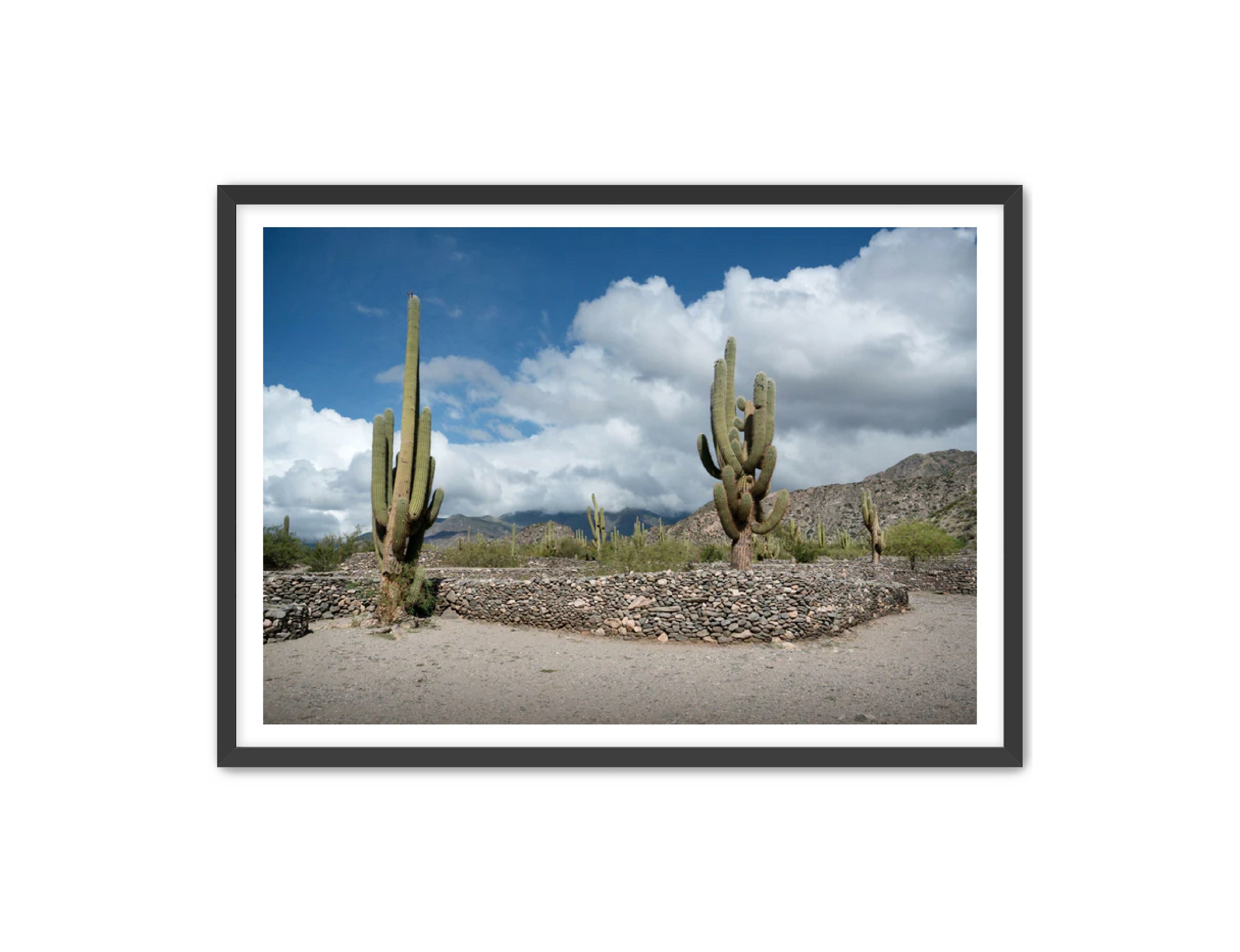 Landscape Photography Prints 'Cactus on the way' Aline Karagozlu