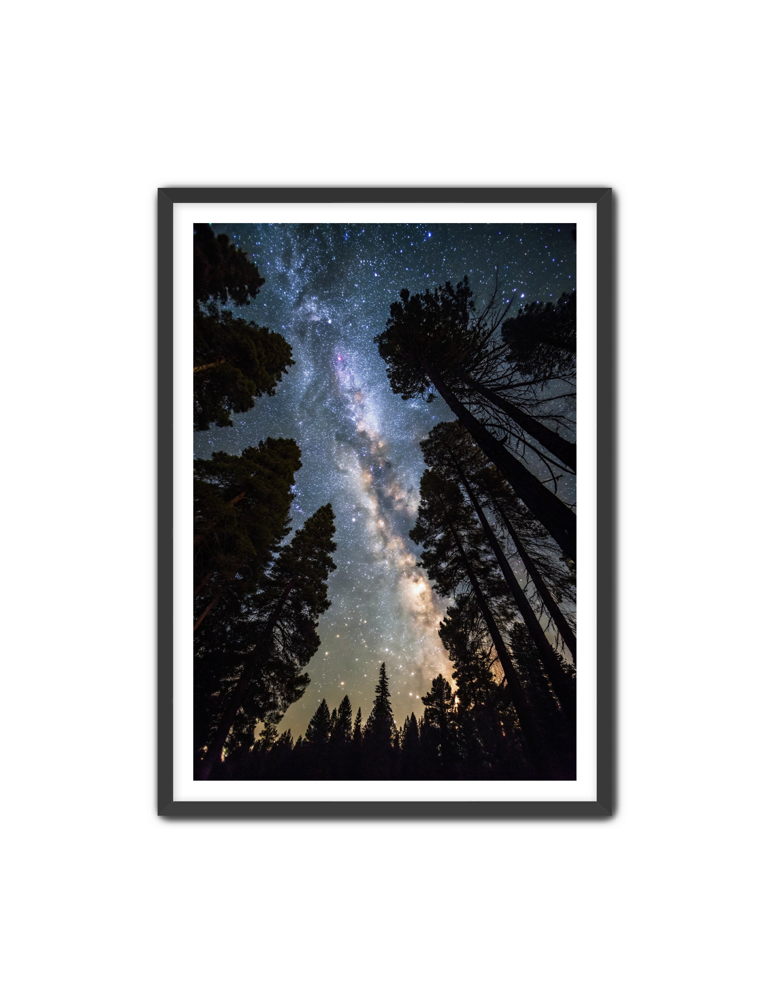 Apricus Prints 'Canopy of Eternity' Apricus Art Collection