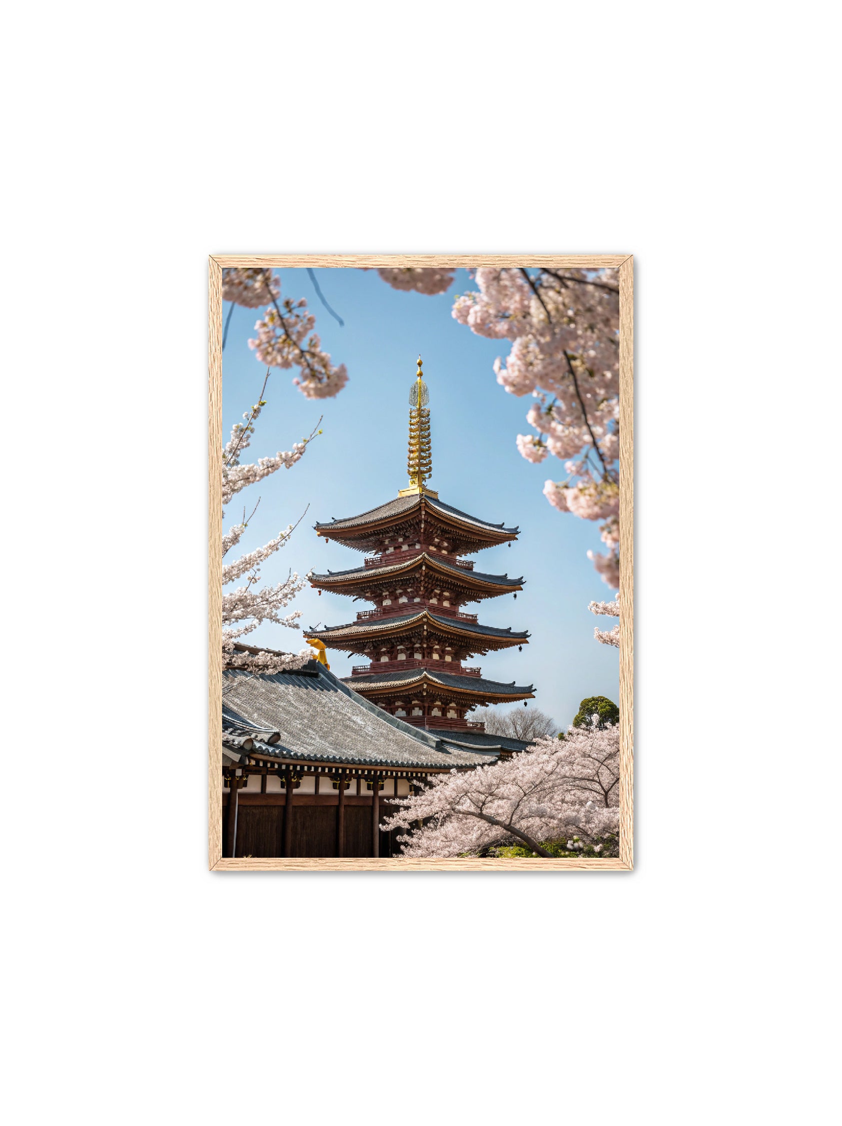 Apricus Prints 'Blossom Fortress' Apricus Art Collection