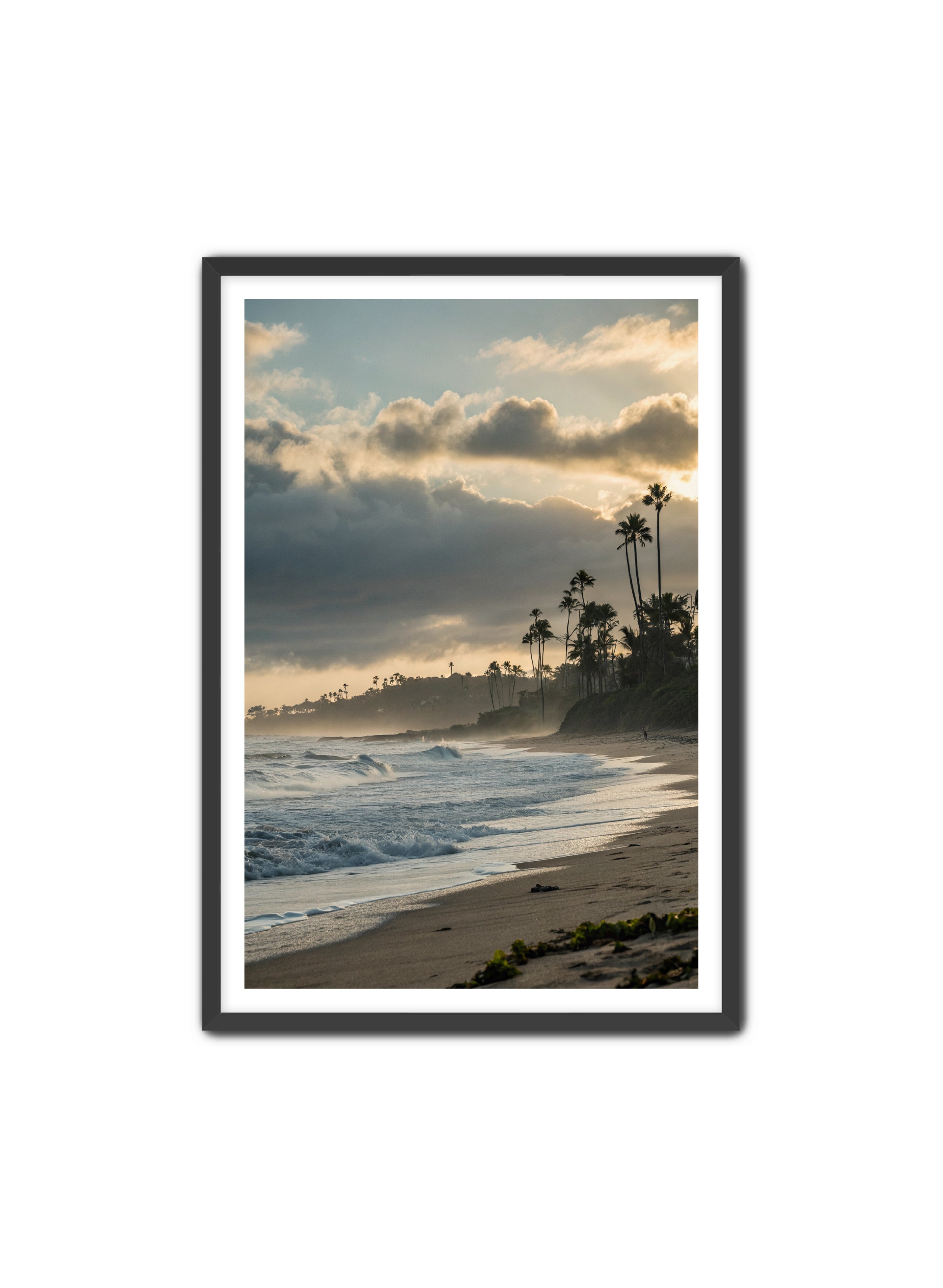 Apricus Prints Beaches 'Coastal Echoes' Apricus Art Collection