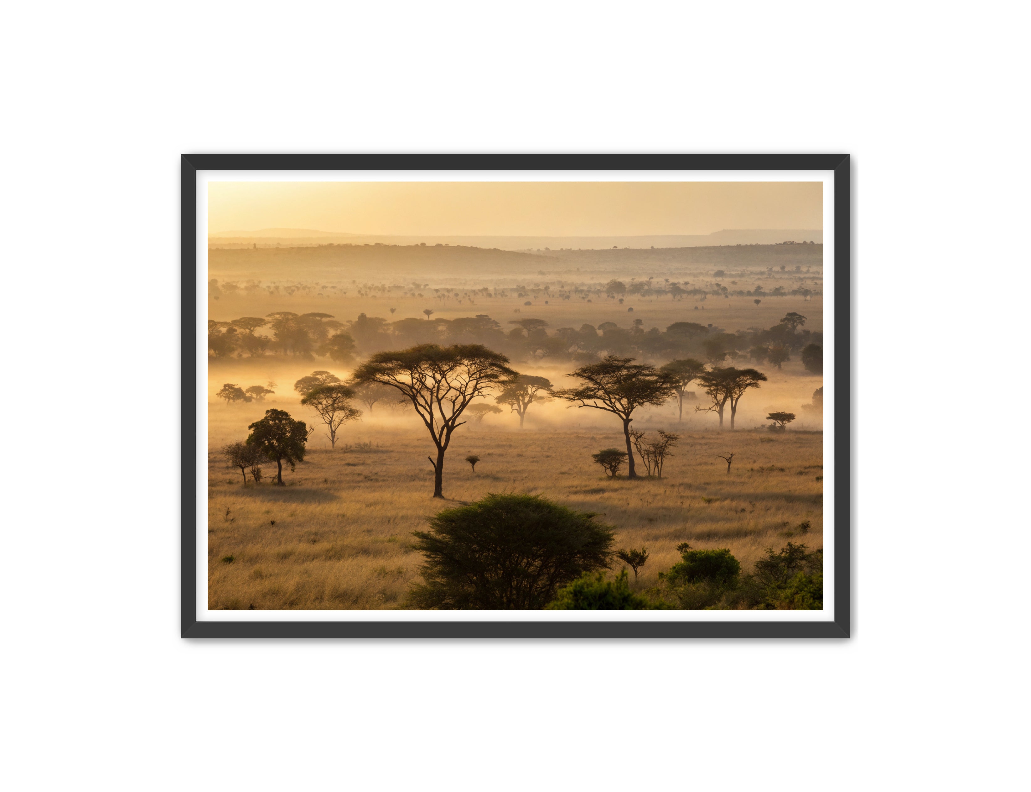 Apricus Prints 'Sunrise on the Serengeti' Apricus Art Collection