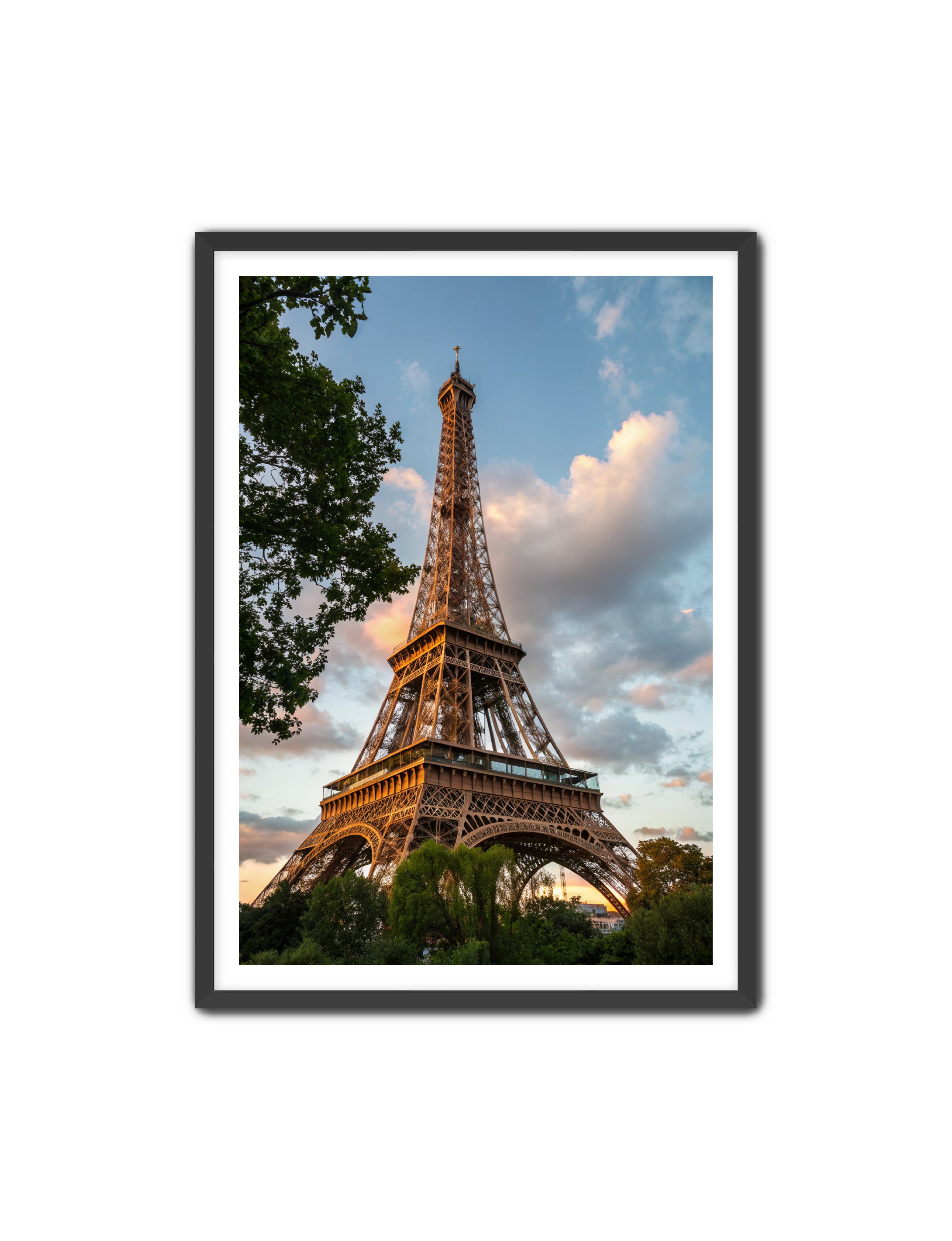 Apricus Prints 'Paris Bloom' Apricus Art Collection