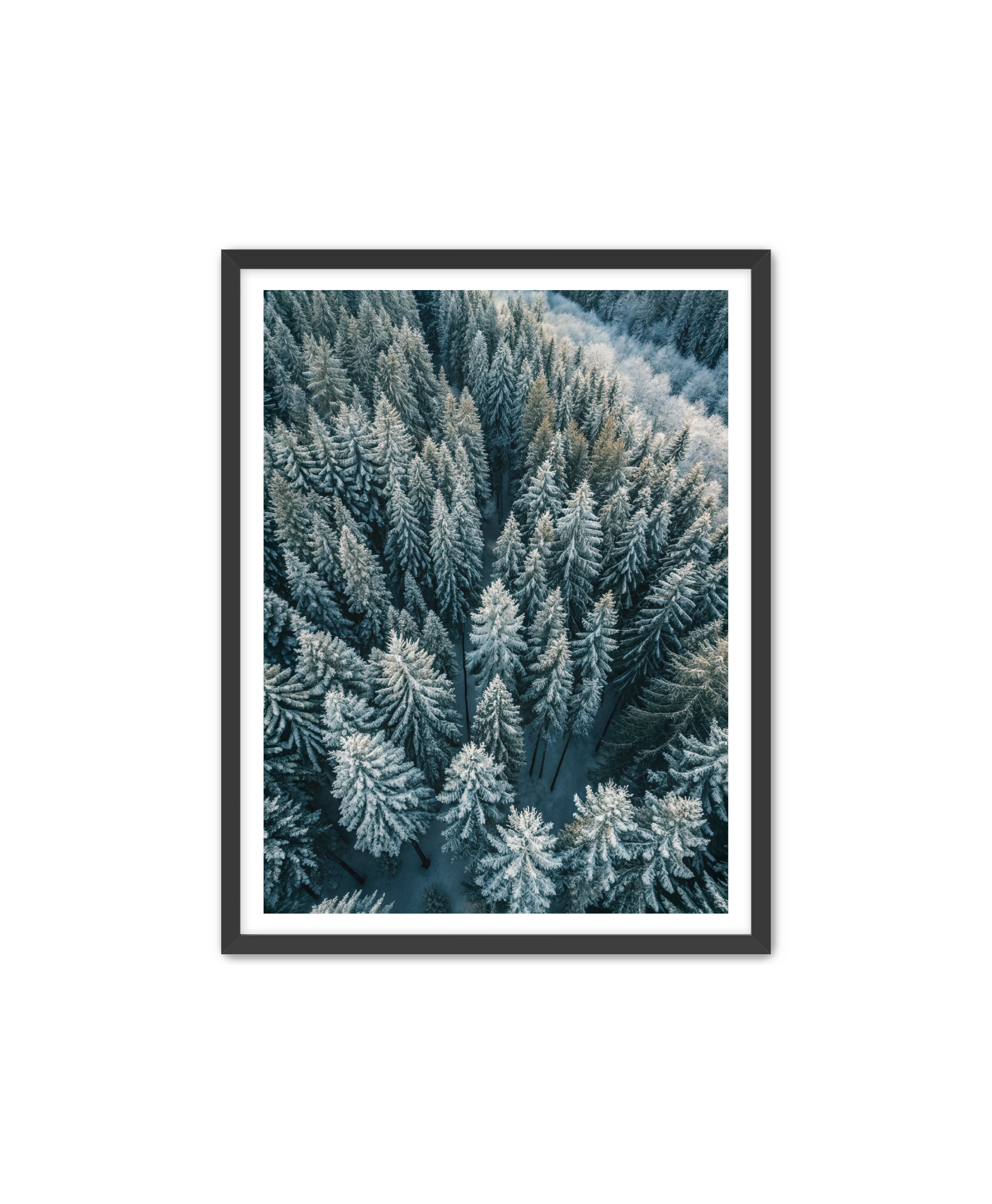 Apricus Prints Nature 'Winter Veins' Apricus Art Collection