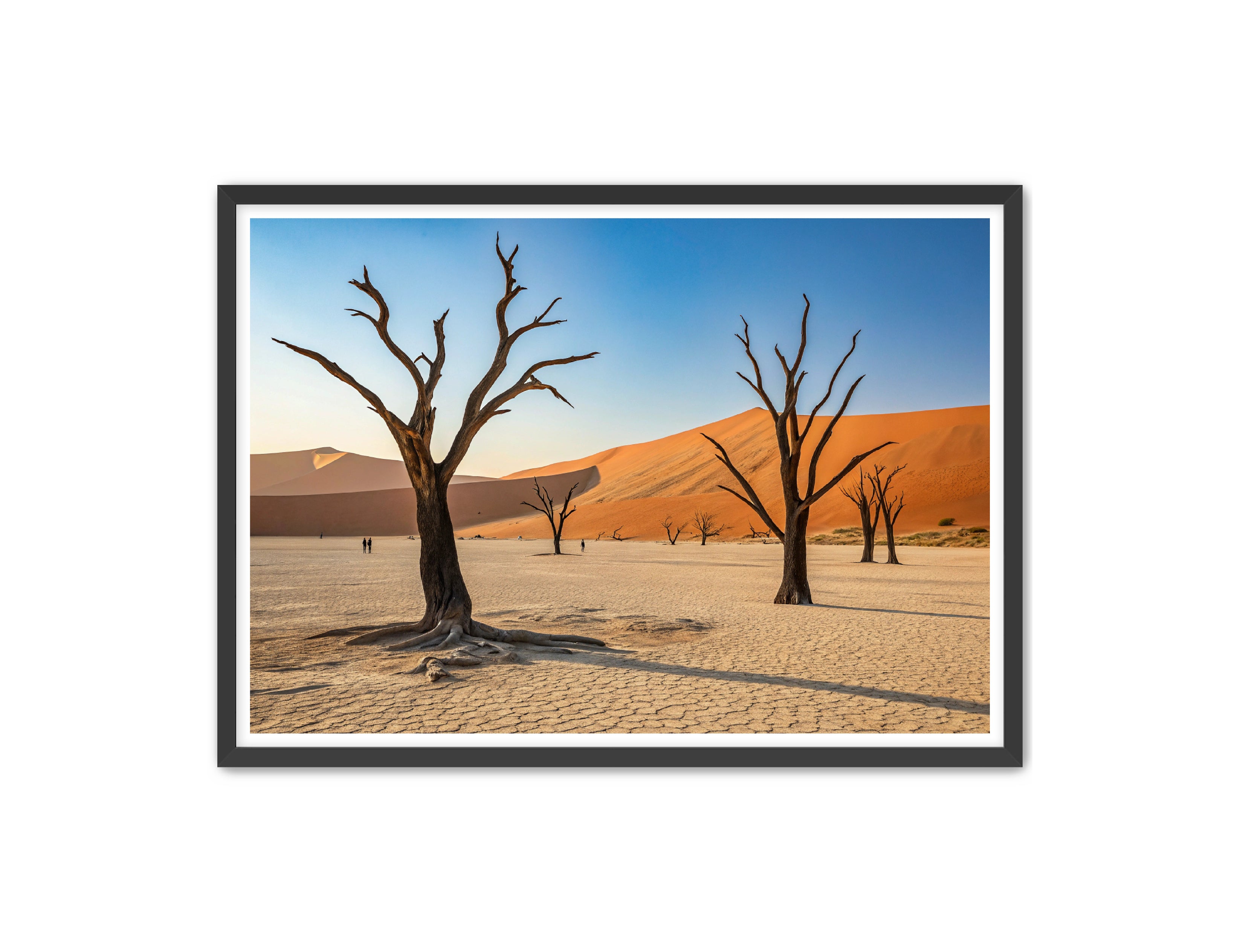 Apricus Prints 'Dried Forest' Apricus Art Collection