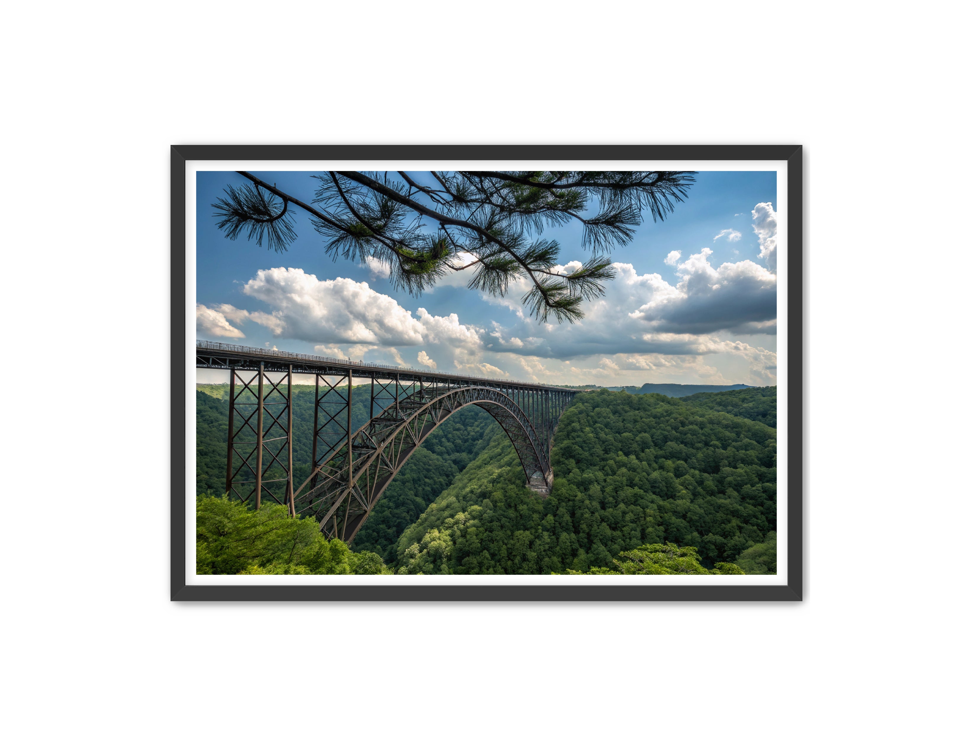 Apricus Prints 'Wild & Wonderful, West Virginia' Apricus Art Collection