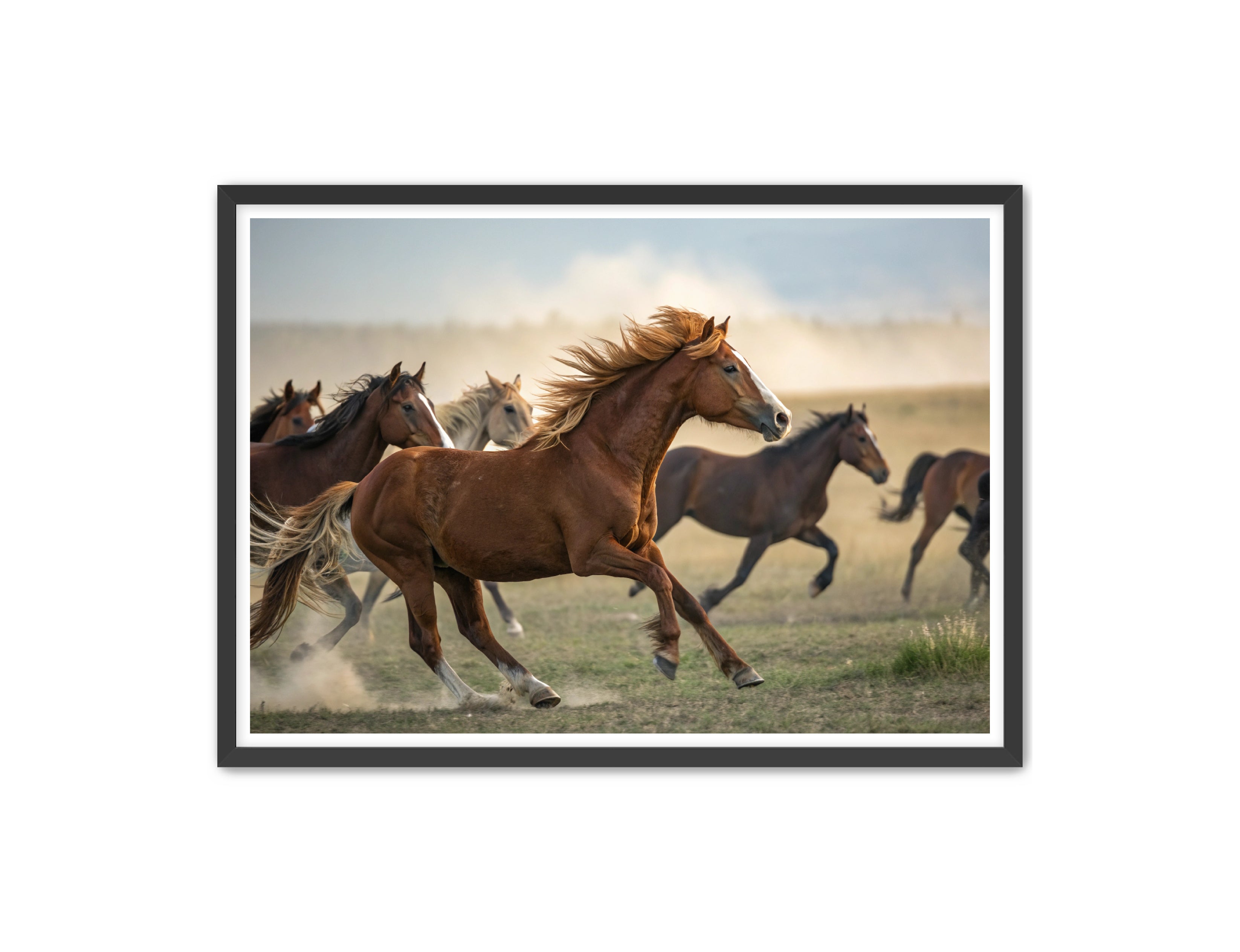 Apricus Prints Vaquero 'Stampede Leader' Apricus Art Collection