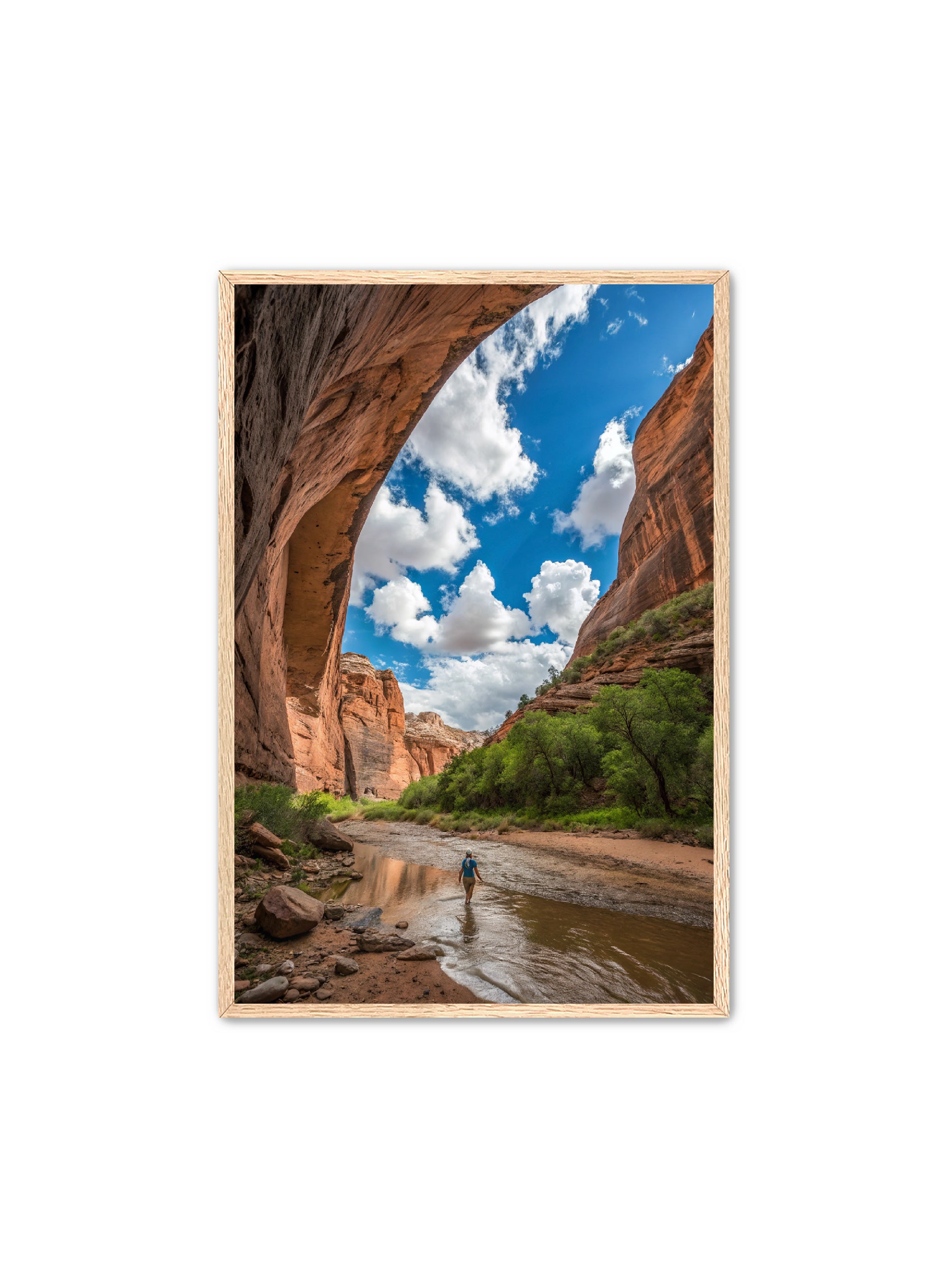 Apricus Prints 'Arches Creek' Apricus Art Collection