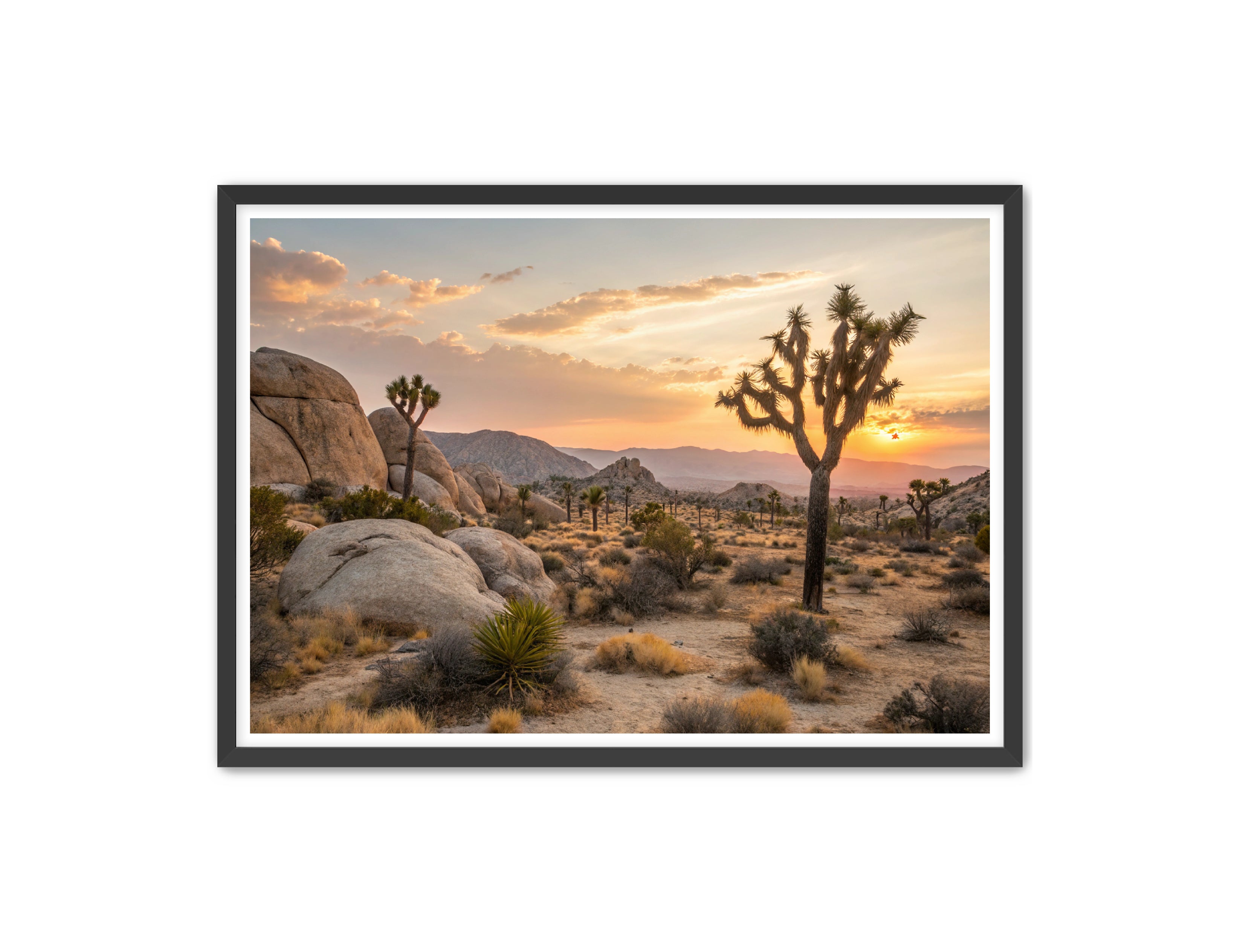 Apricus Prints 'Lost in the Landscape' Apricus Art Collection