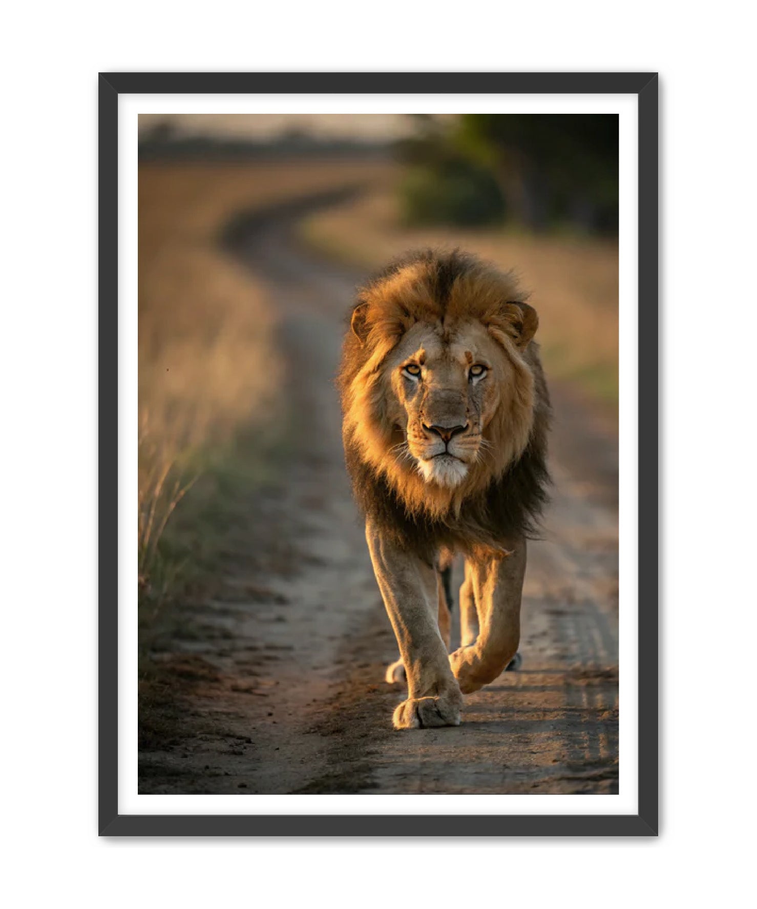 'Boss Walk'