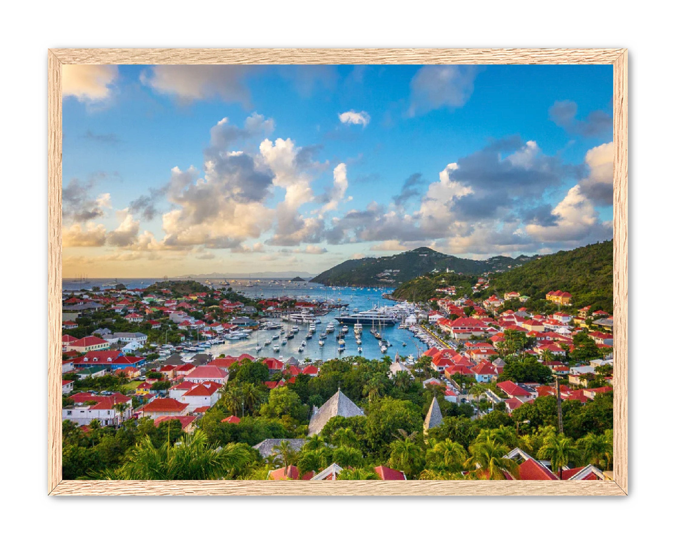 Apricus Prints 'GUSTAVIA' Apricus Art Collection