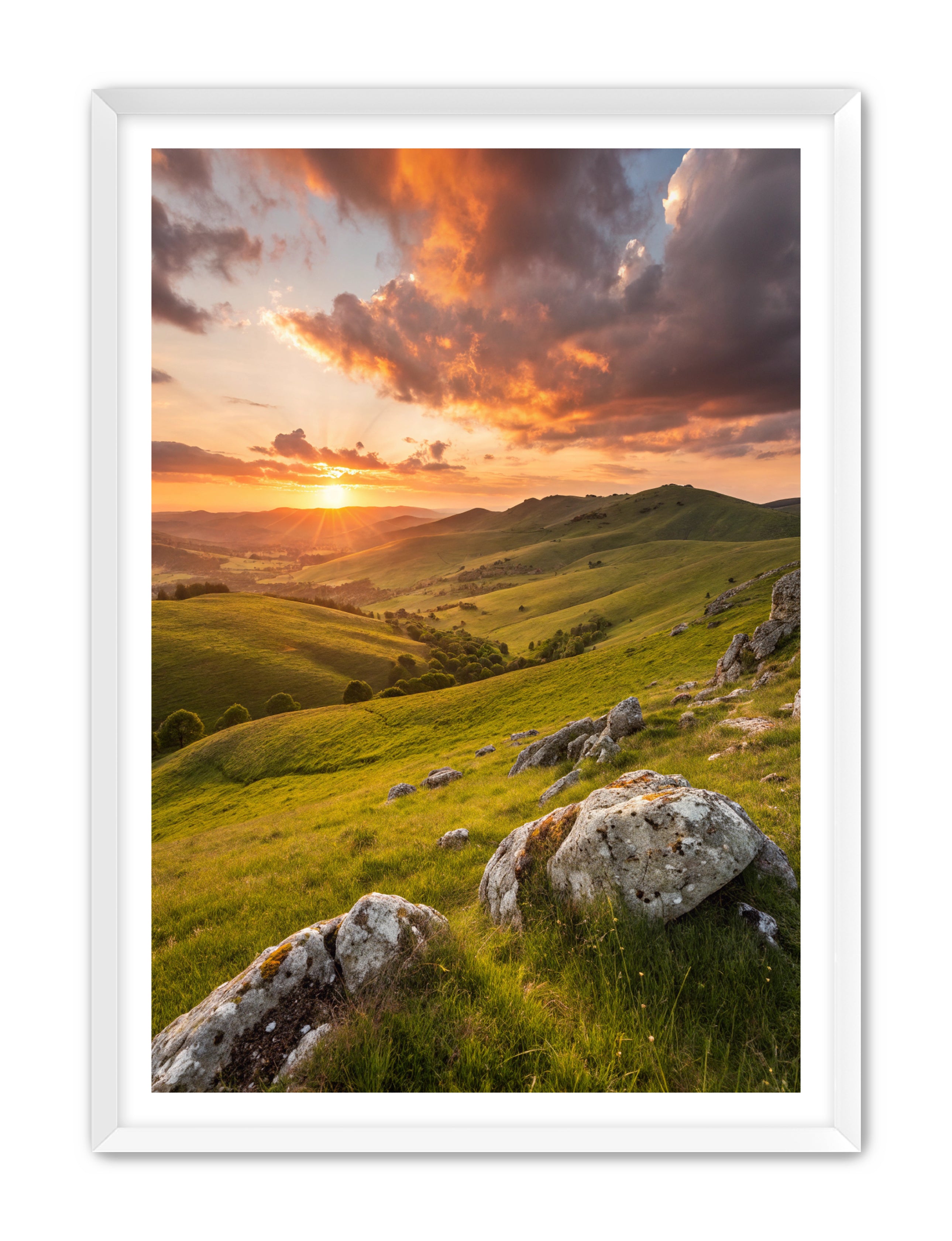 Apricus Prints 'Highland Glow' Apricus Art Collection