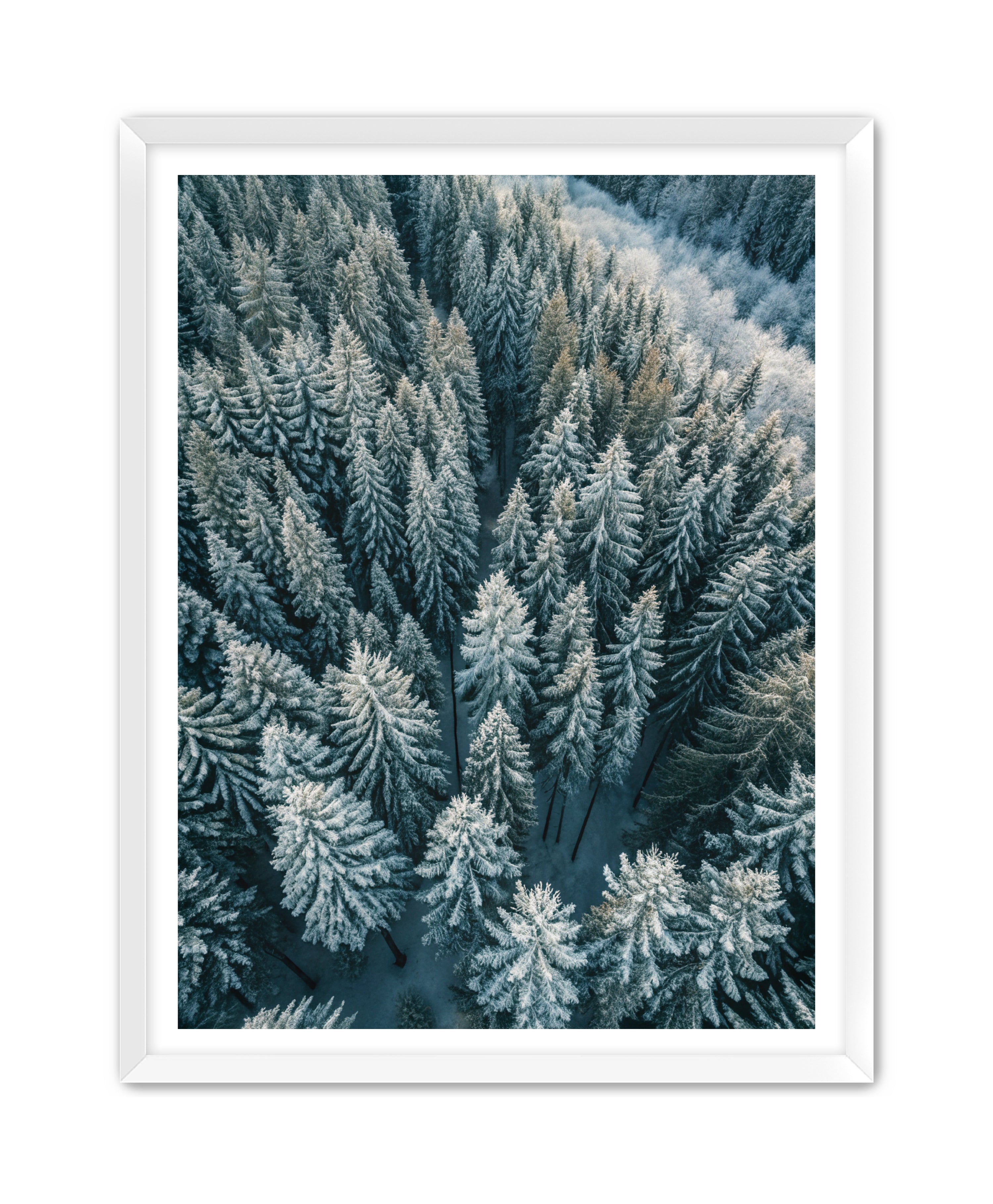 Apricus Prints Nature 'Winter Veins' Apricus Art Collection