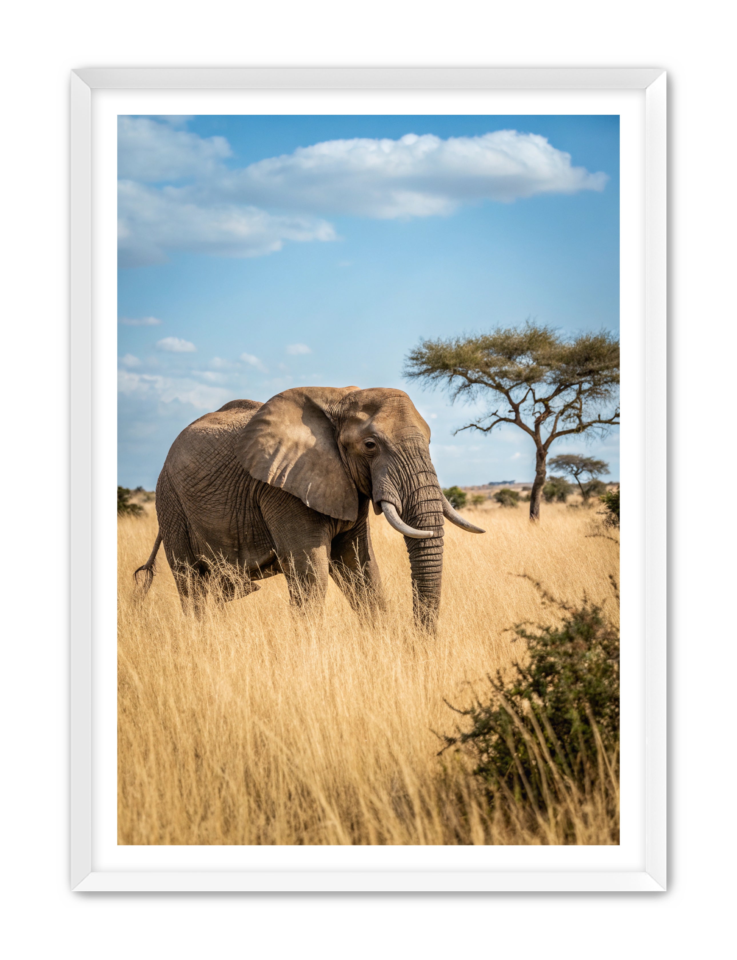 Apricus Prints 'Ellie, The Gentle Giant' Apricus Art Collection