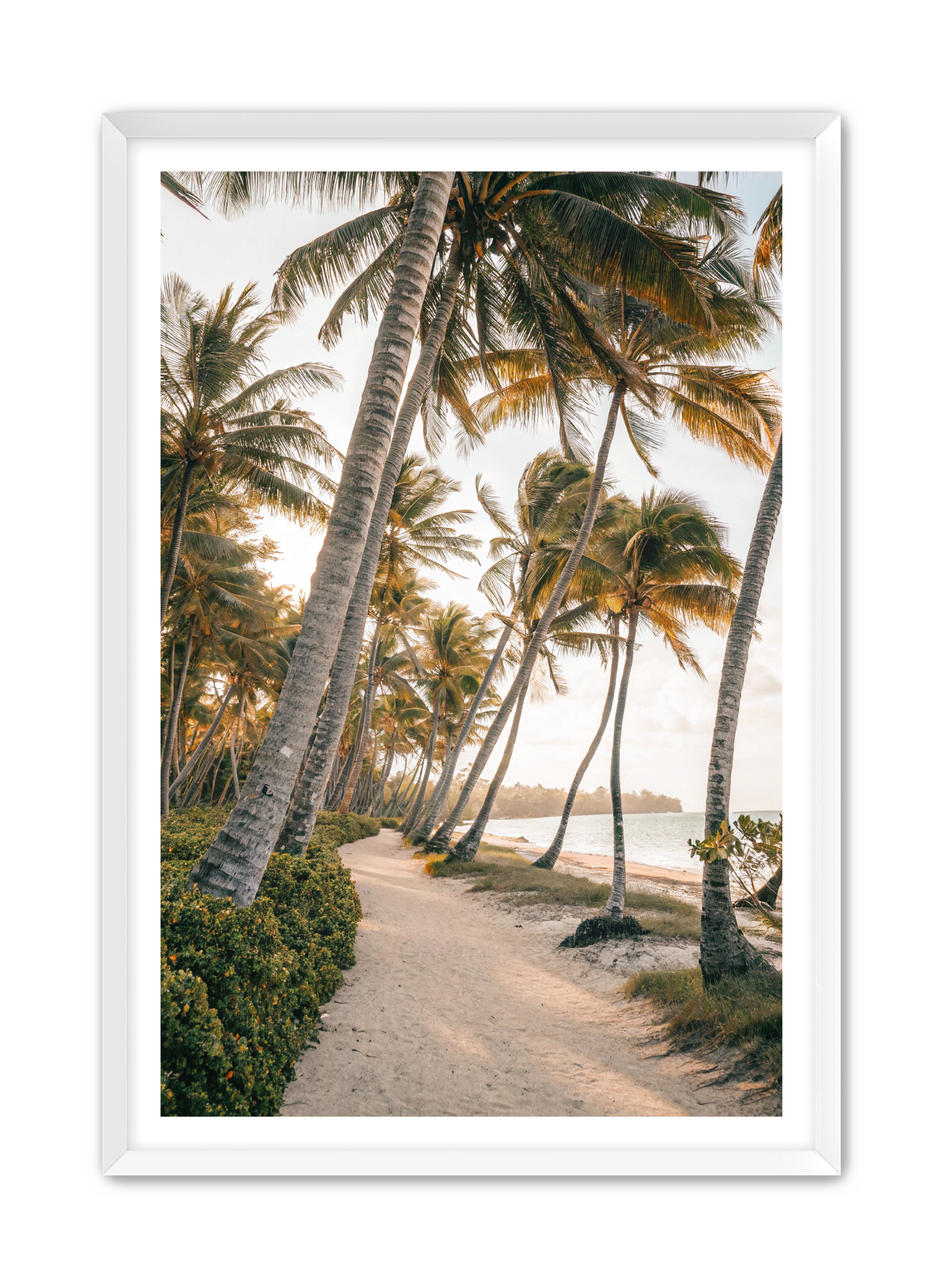 Apricus Prints Beaches 'Driftwood Dreams' Apricus Art Collection