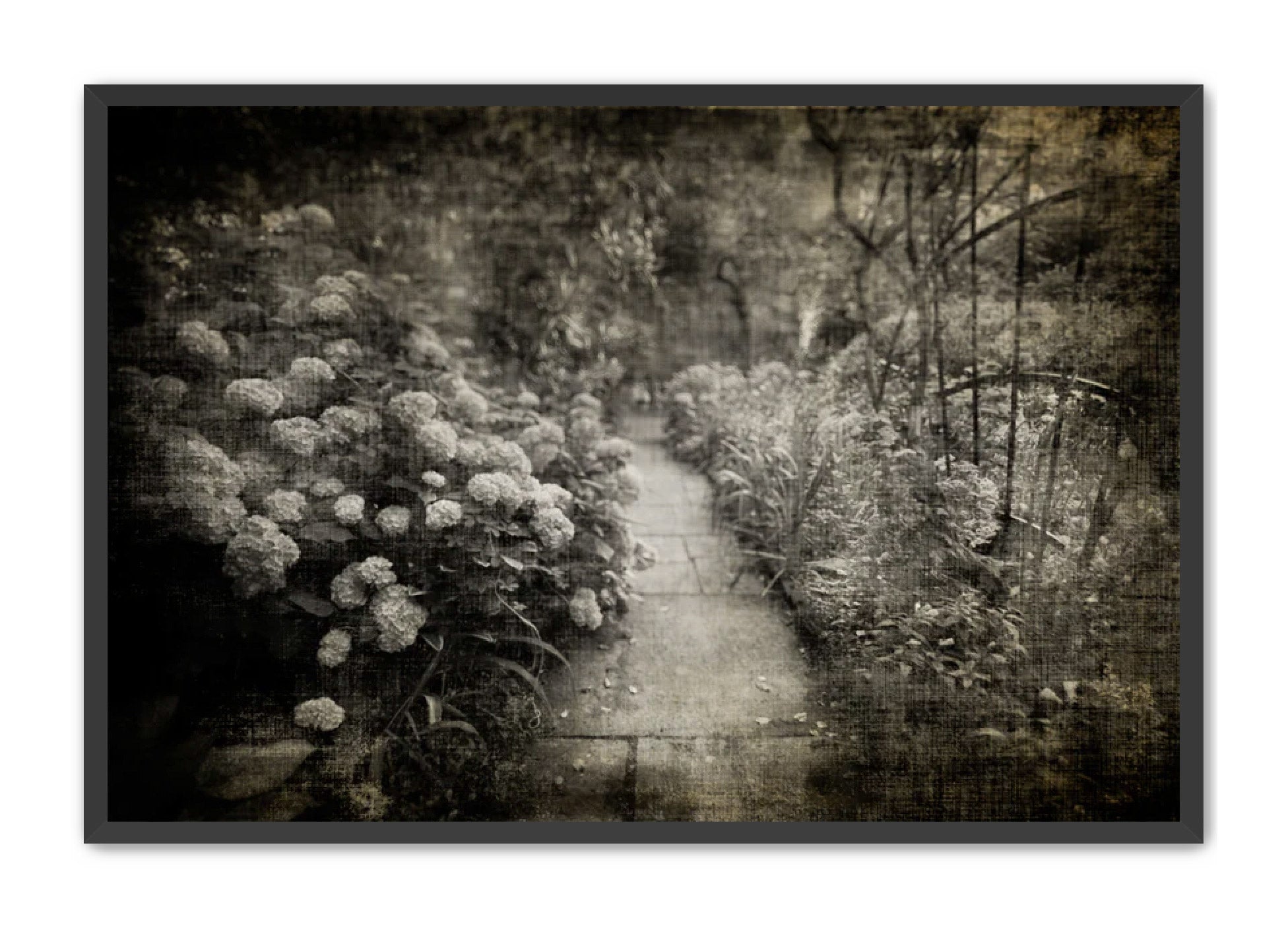 PhotoArt Prints 'PARK PATH 2' Danielle Neumann Kelly