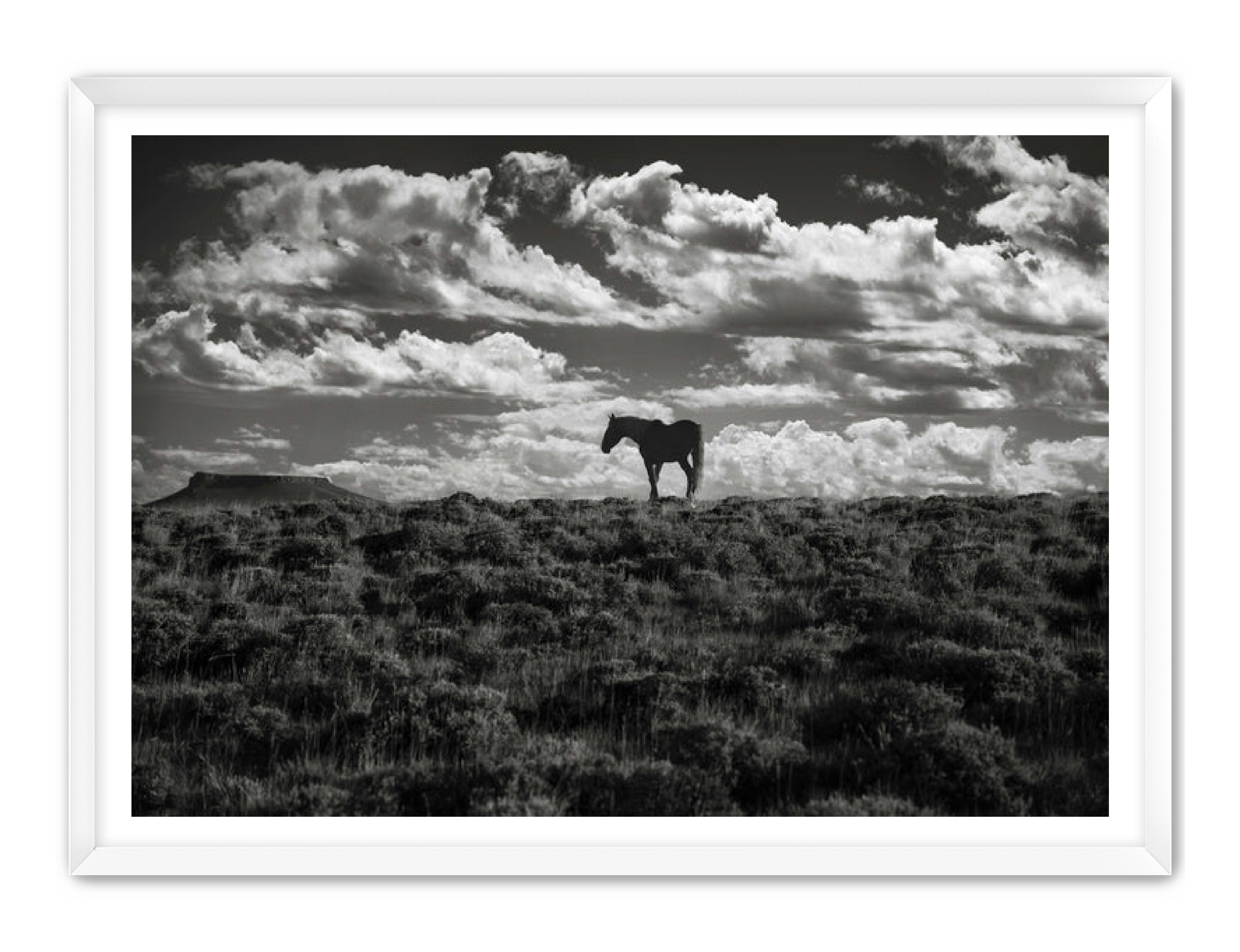 Photography Prints 'Open Range' Reed Decker