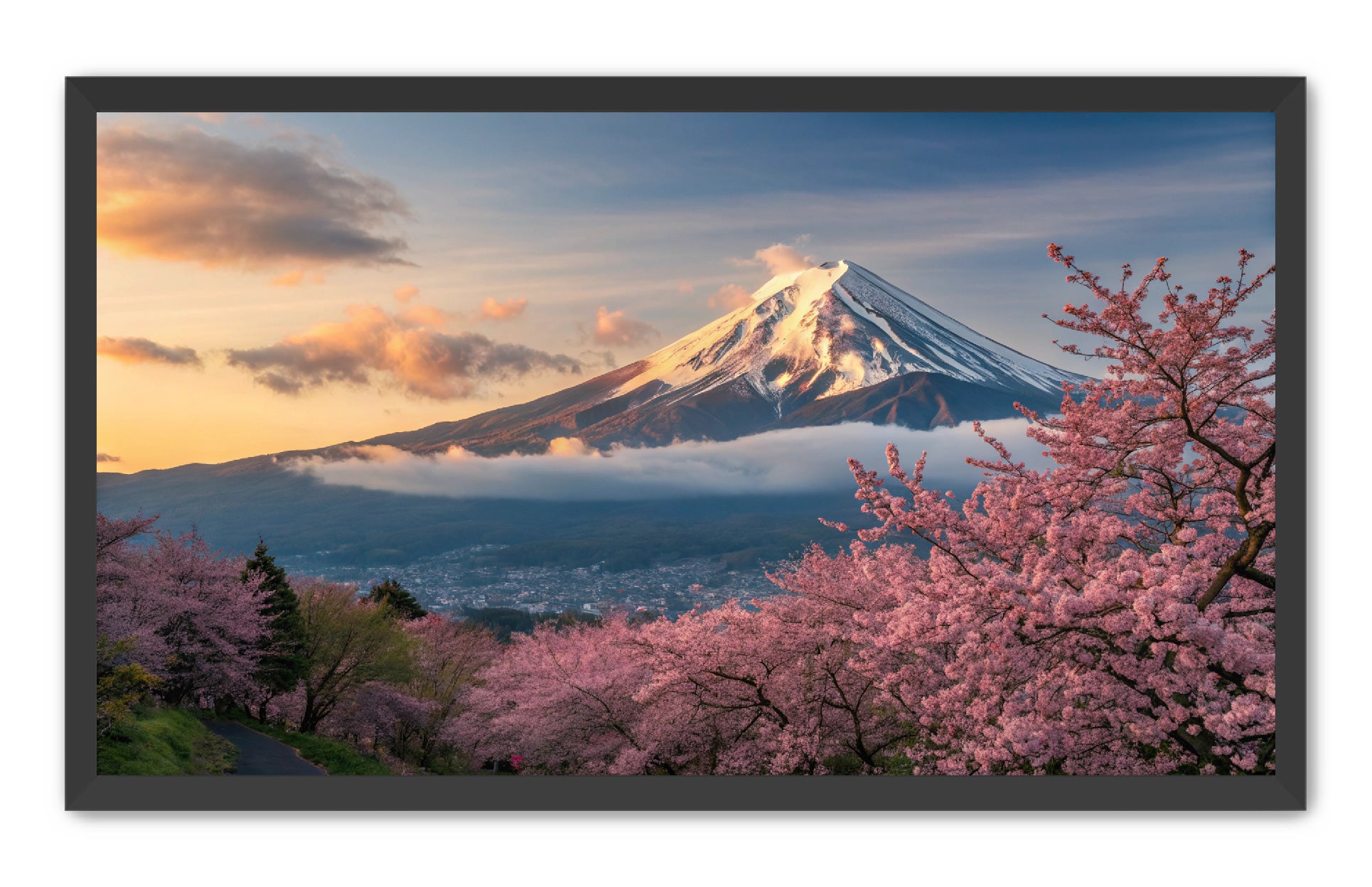 Apricus Prints 'Fuji’s Reflection' Apricus Art Collection